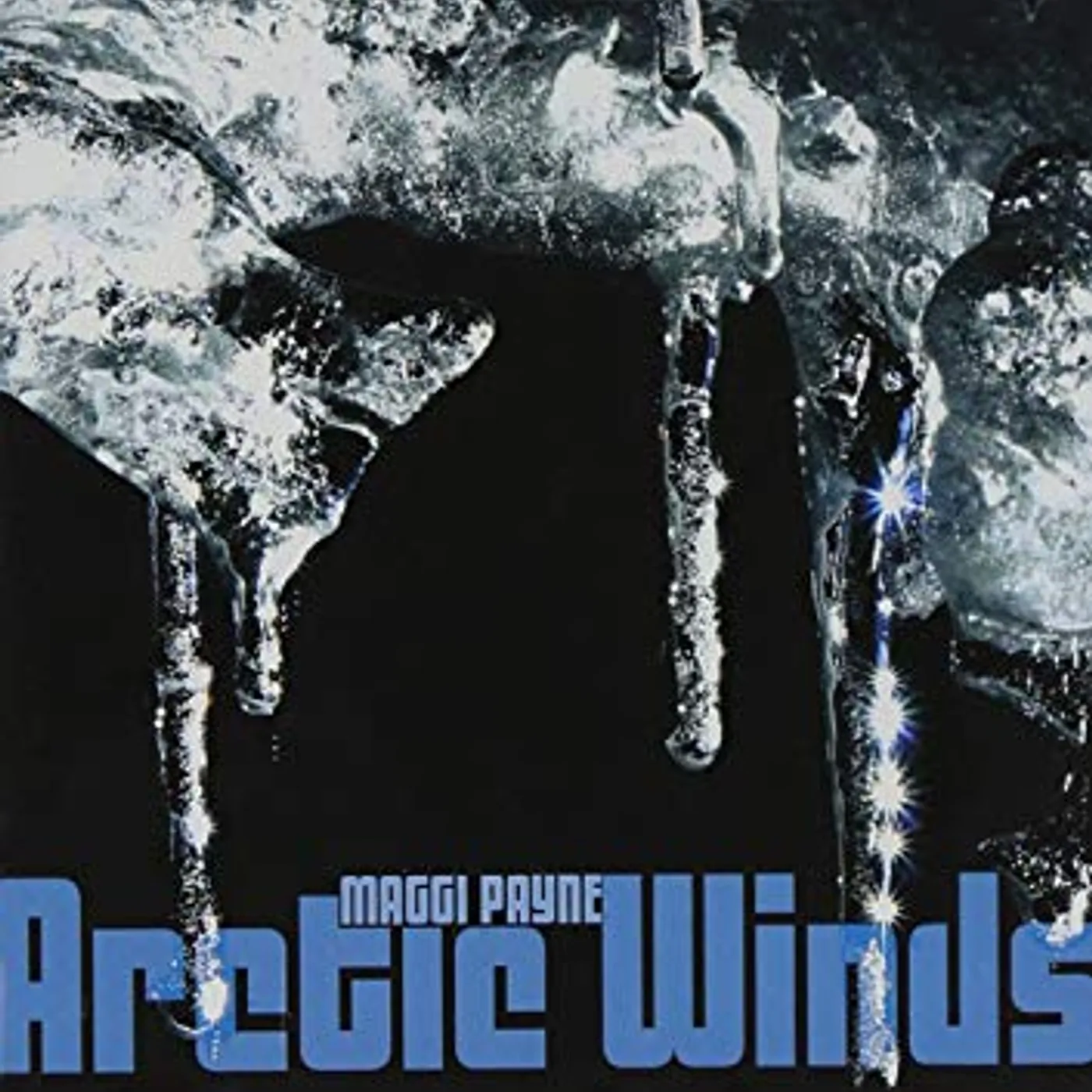 Maggi Payne Arctic Winds Vinyl Record