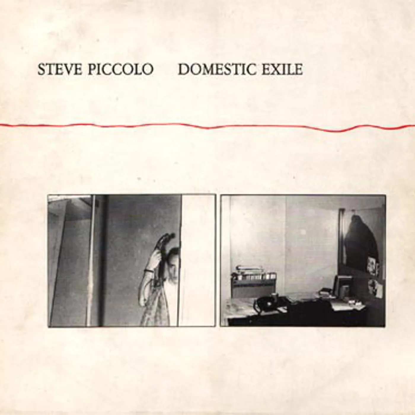 Steve Piccolo Domestic Exile Vinyl Record