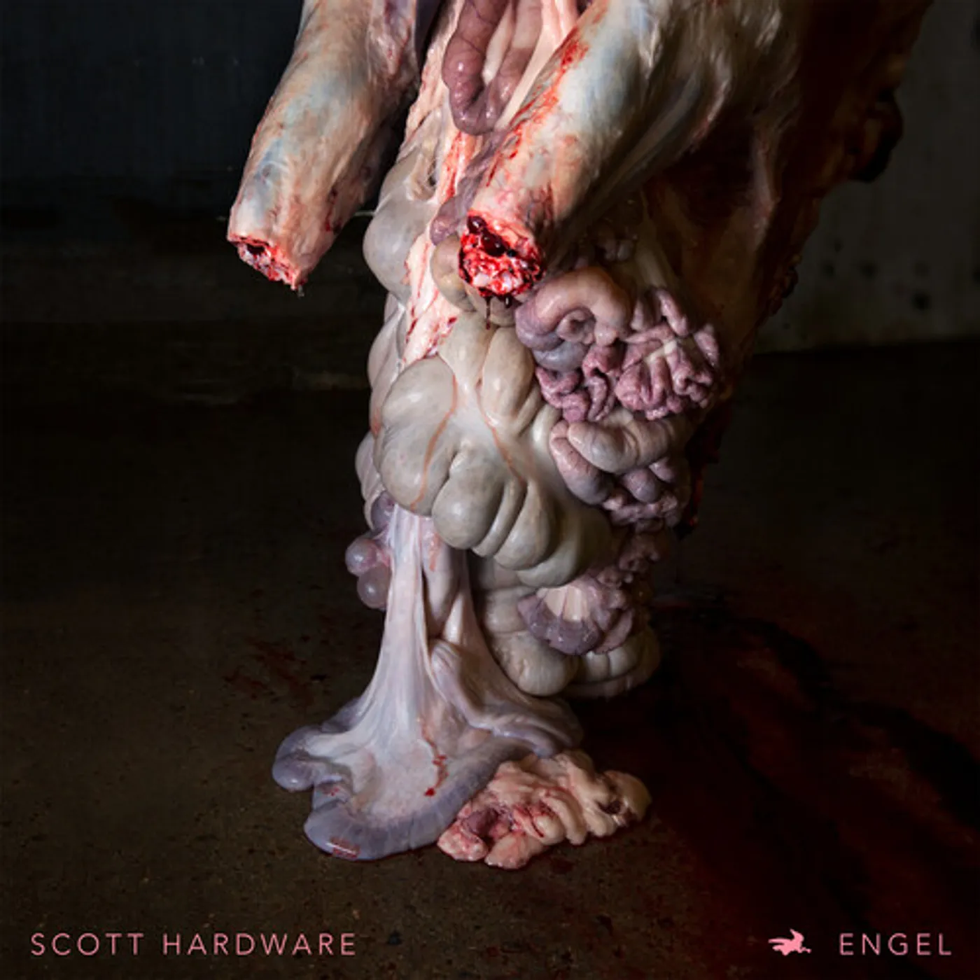 Scott Hardware Engel Vinyl Record