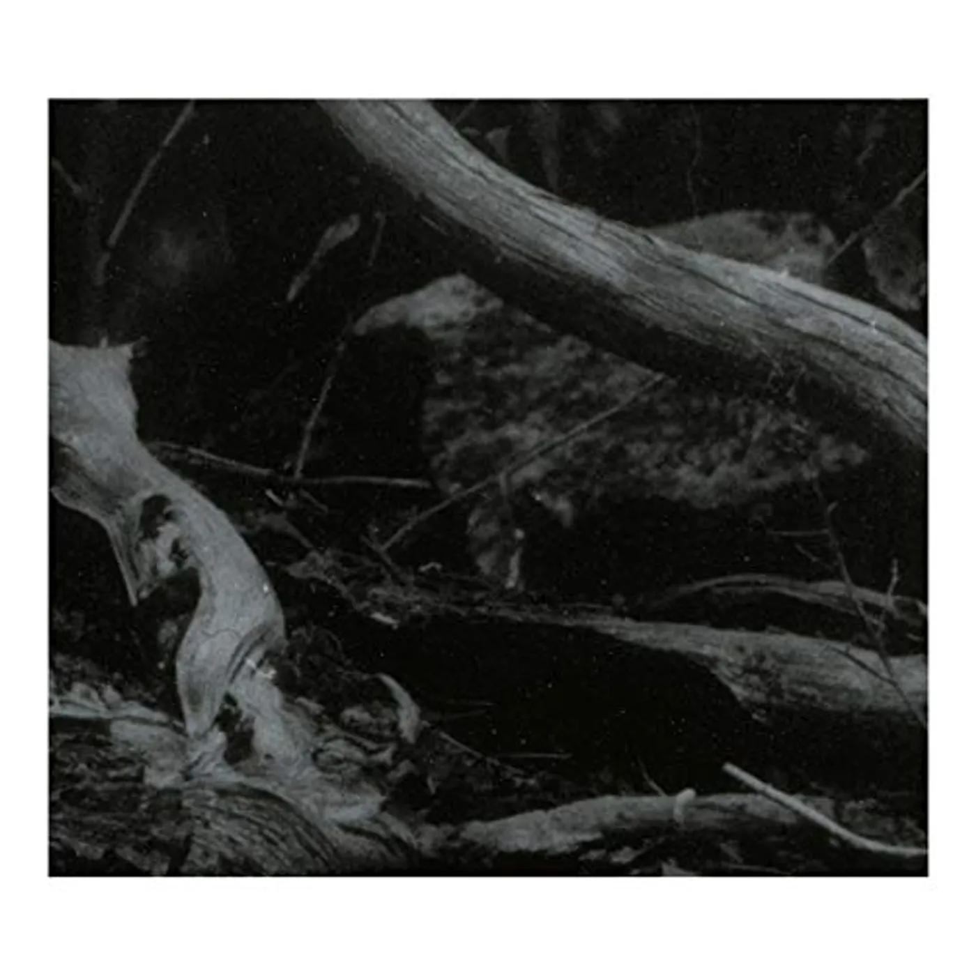 Barren Canyon WORLD OF WOUNDS CD