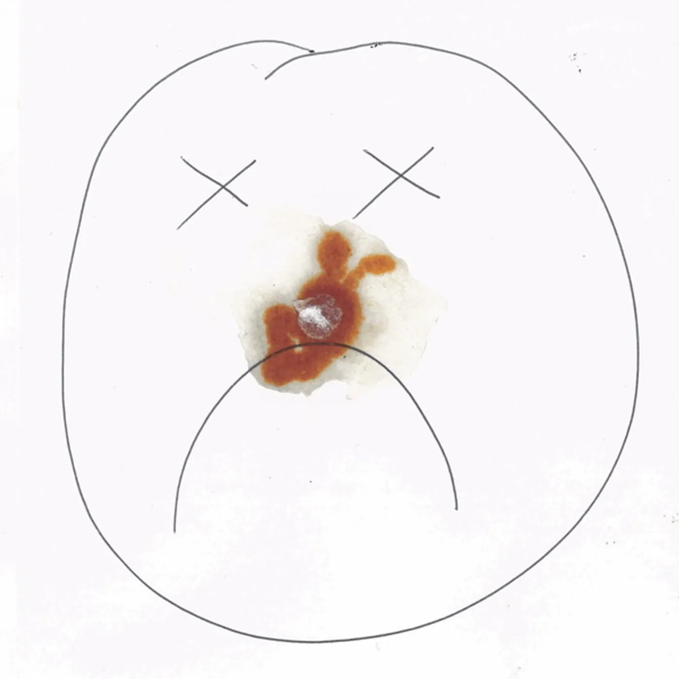 Ewa Justka Upside Down Smile Vinyl Record