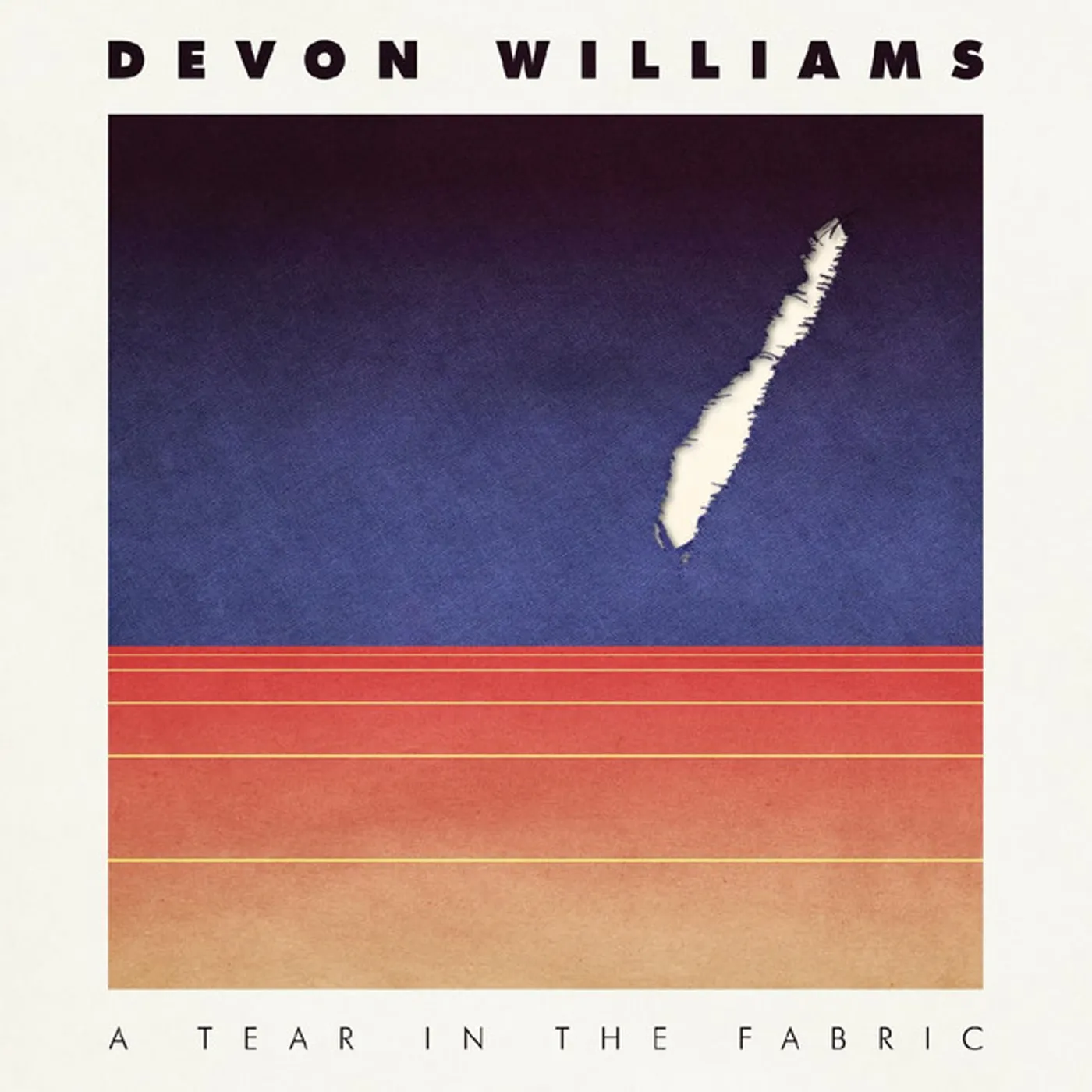Devon Williams TEAR IN THE FABRIC CD