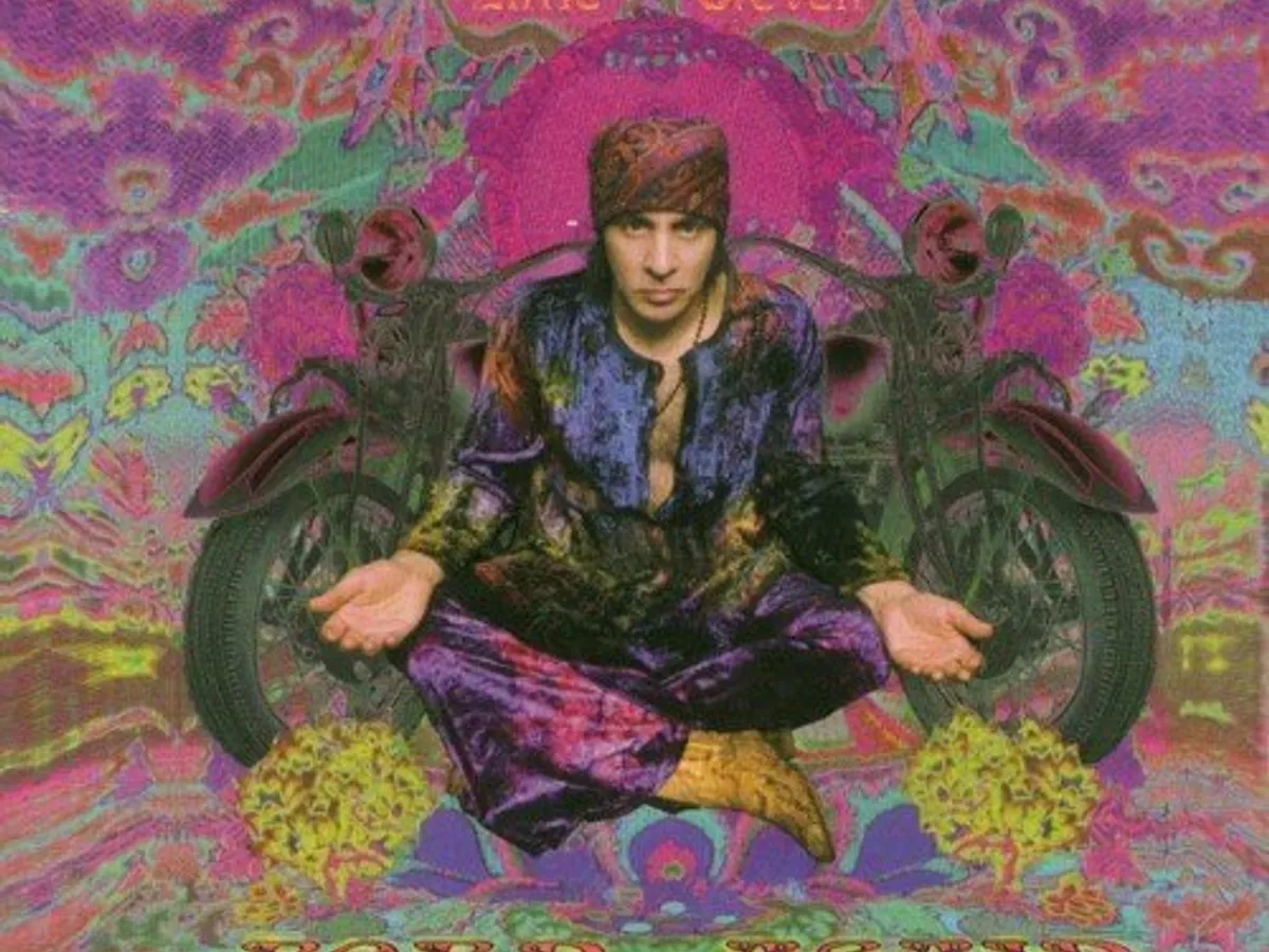 米2discs LP Little Steven Born Again Savage B003064001 Wicked Cool Record Co., UMe /00520 LITTLE STEVEN 