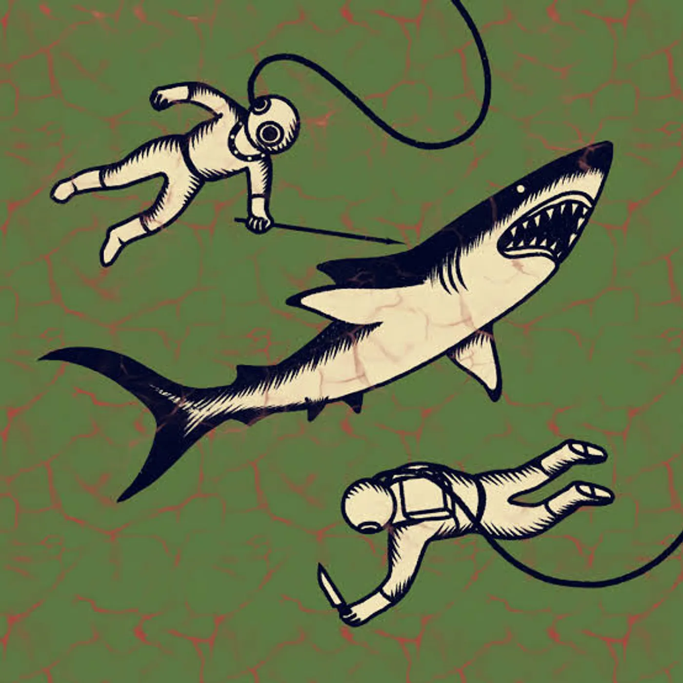 Shepparton Airplane Sharks Vinyl Record