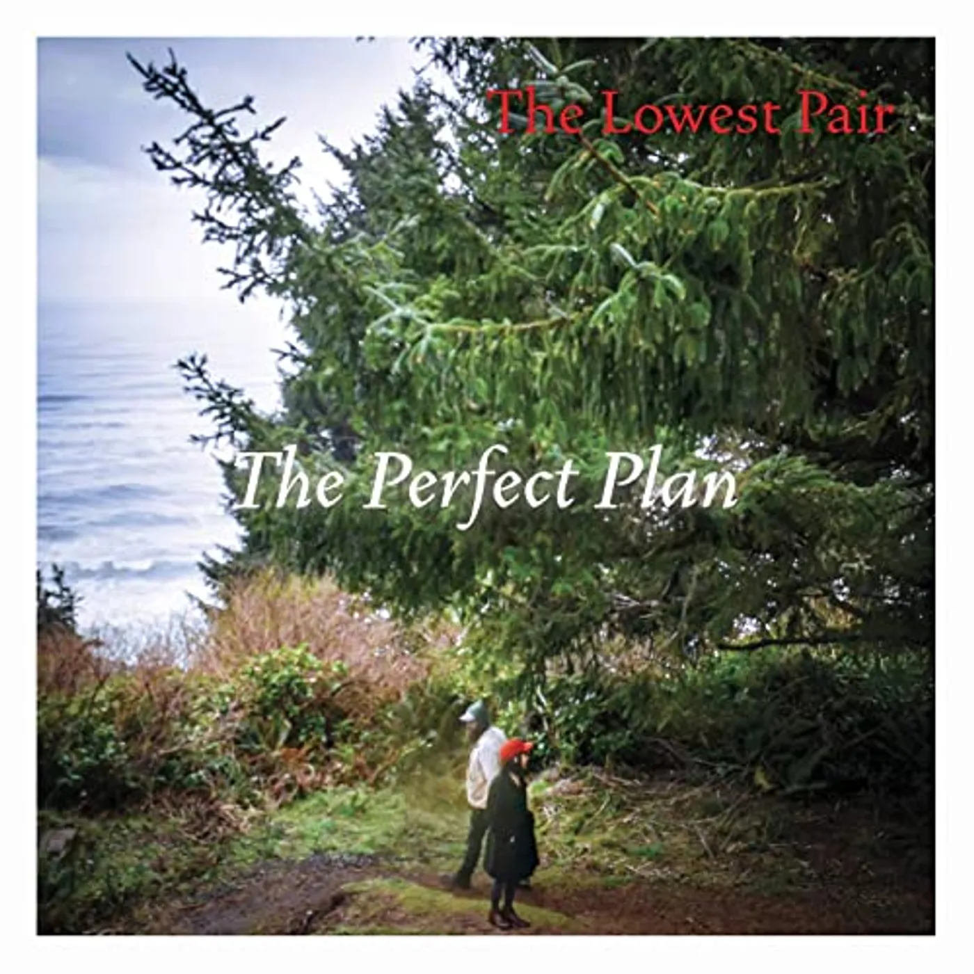The Lowest Pair PERFECT PLAN Vinyl Record
