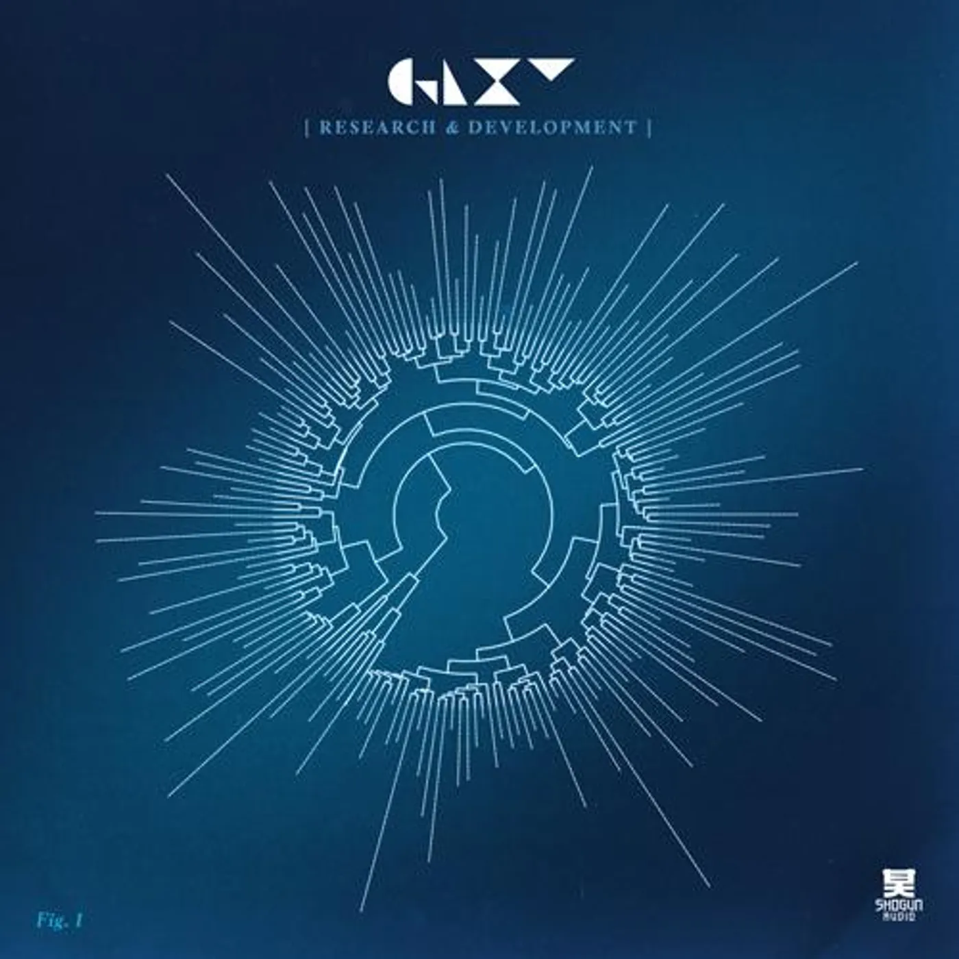 GLXY Research & Development Vinyl Record