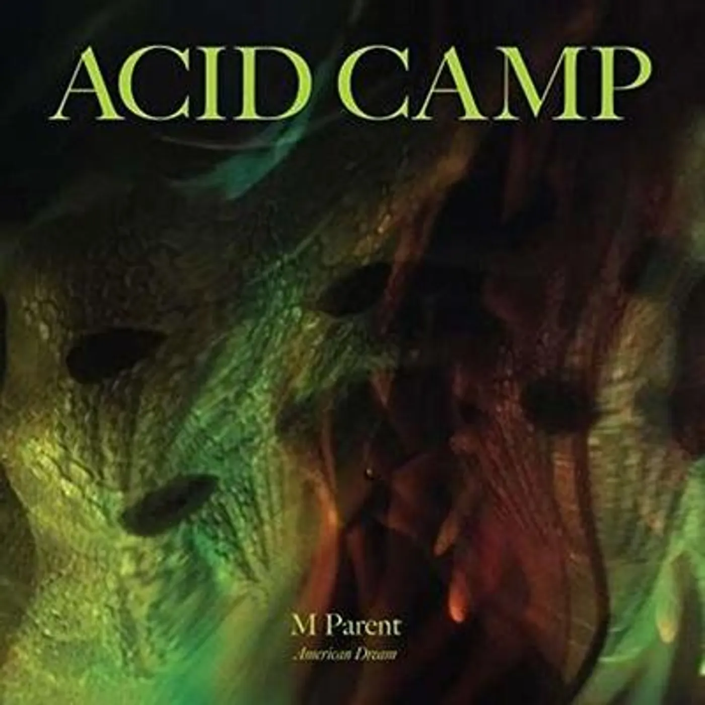 M Parent AMERICAN DREAM Vinyl Record