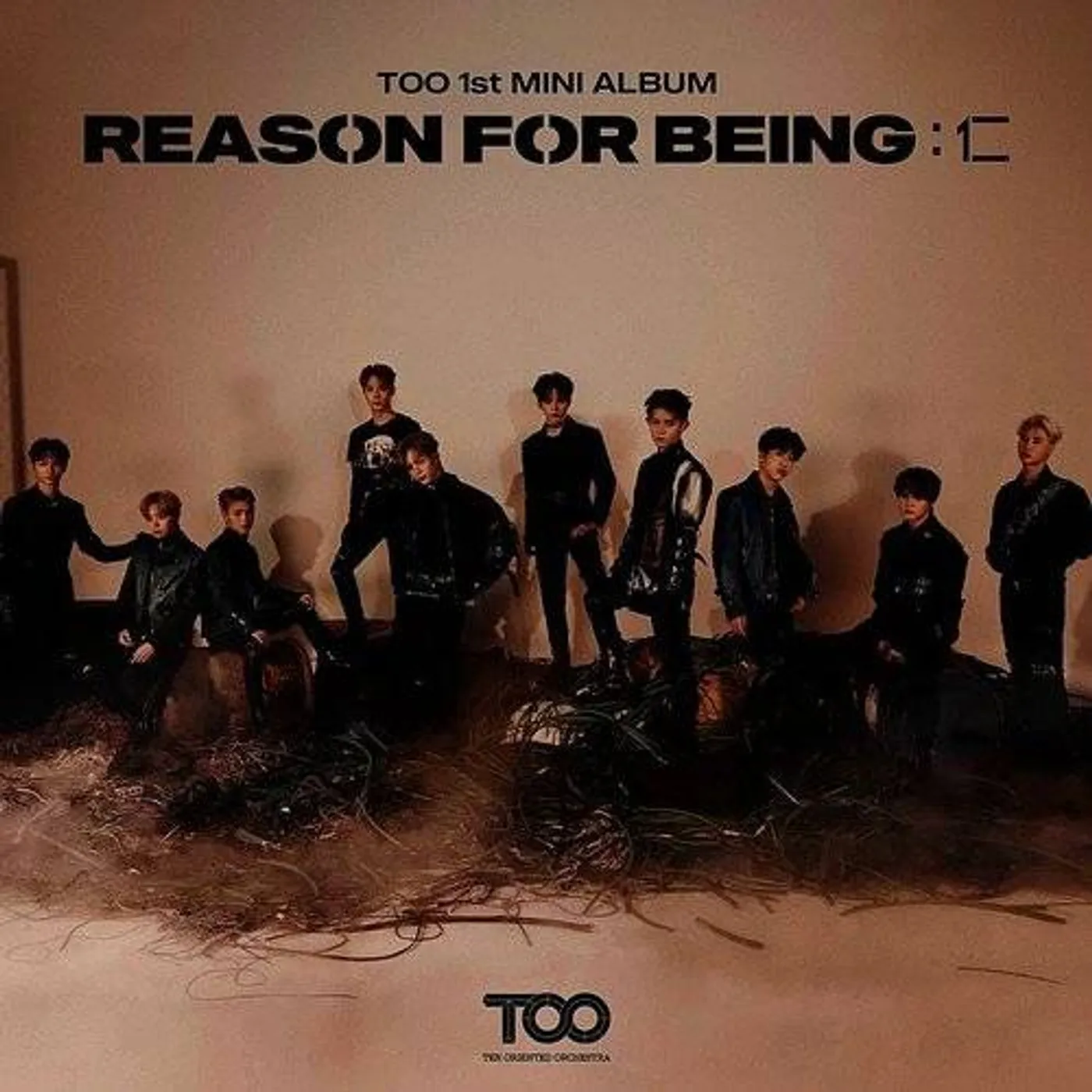 TOO REASON FOR BEING (RANDOM COVER) CD