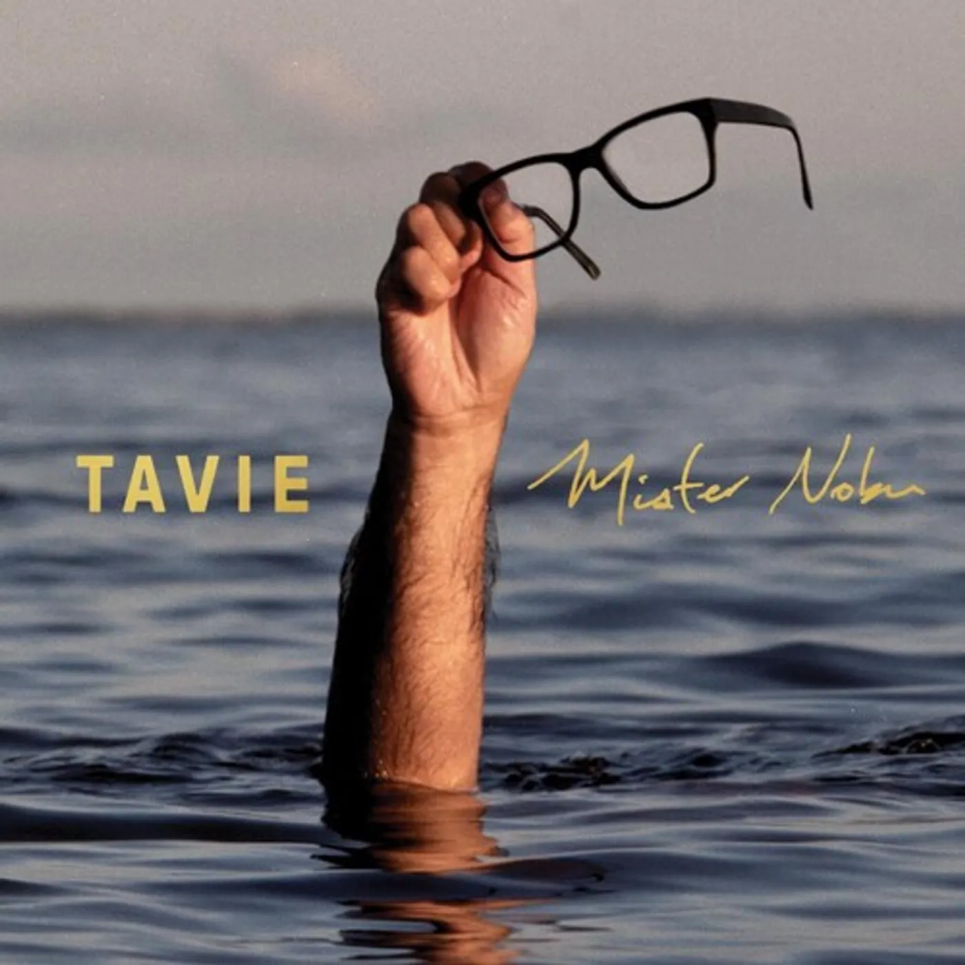 Mister Nobu TAVIE Vinyl Record