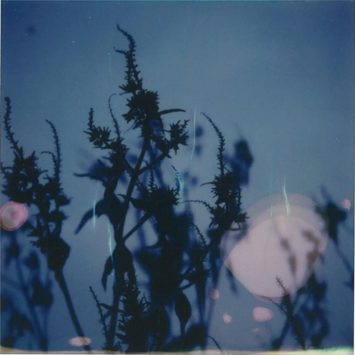 Derek Rogers Immersions Vinyl Record