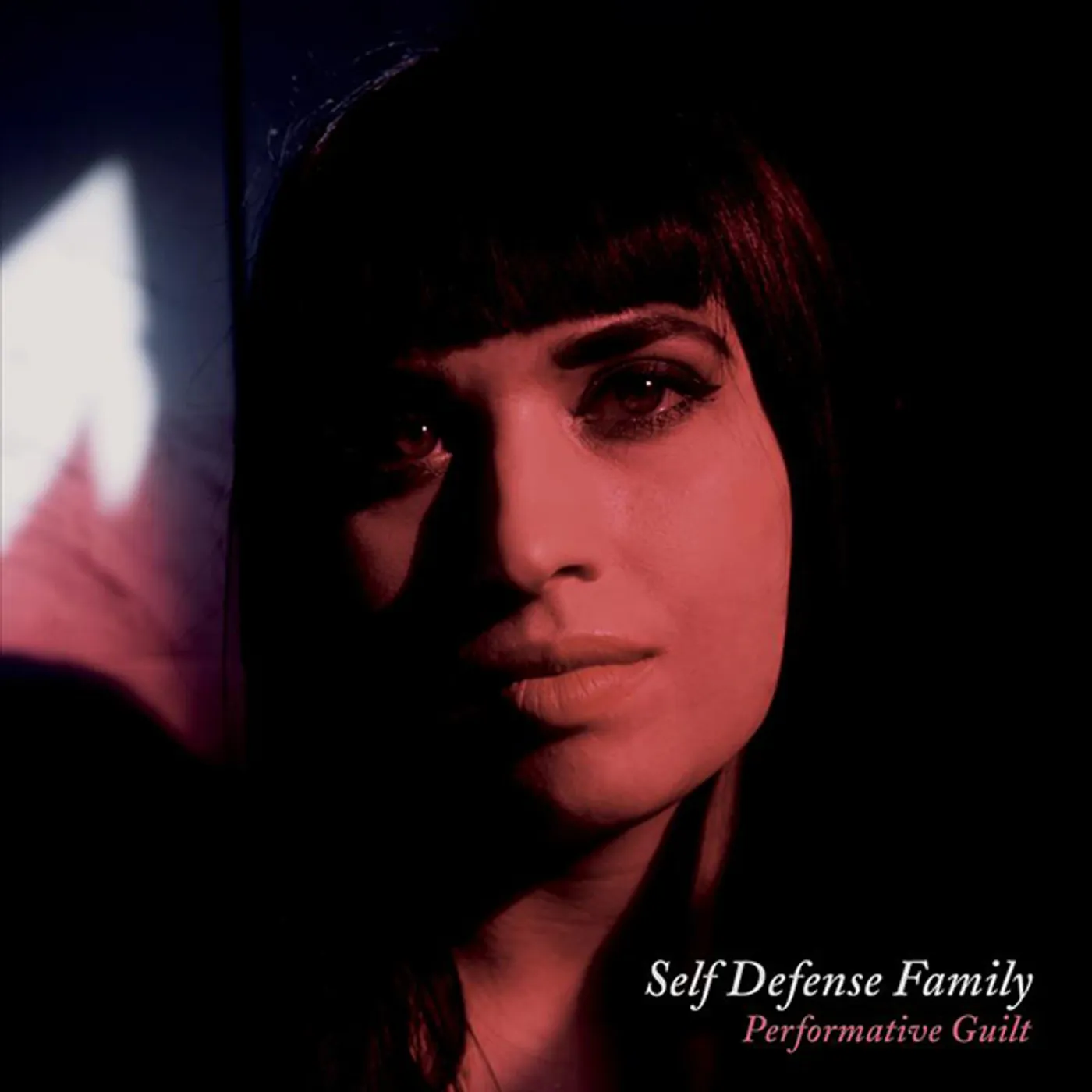 Self Defense Family Performative Guilt Vinyl Record