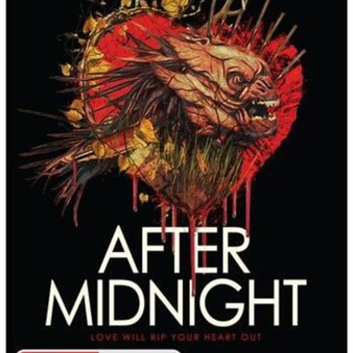 AFTER MIDNIGHT DVD
