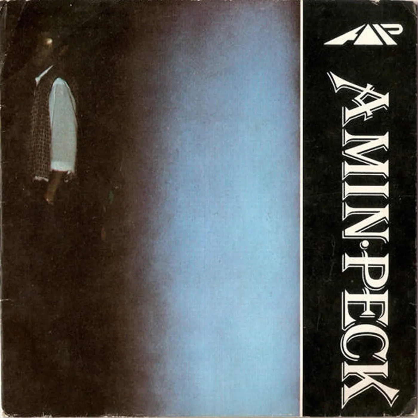 Amin Peck Love Disgrace Vinyl Record