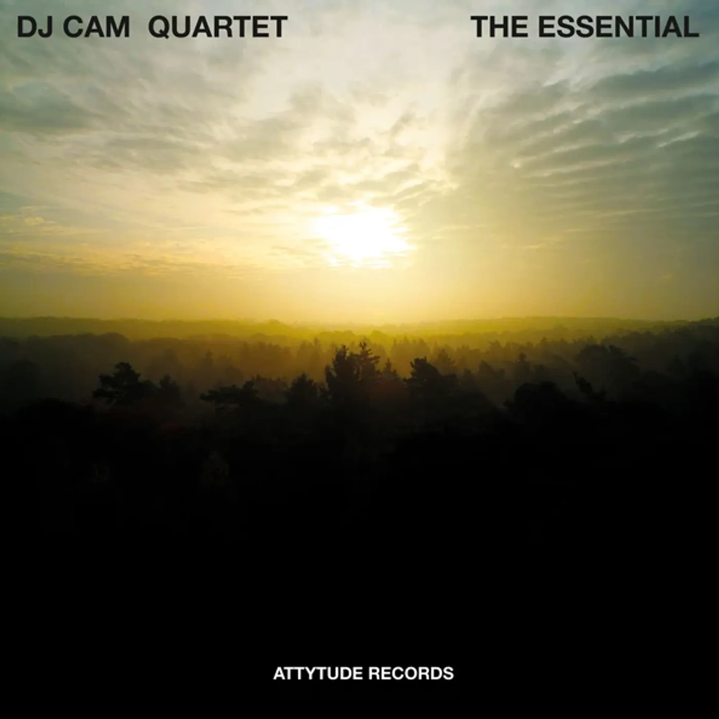 DJ Cam Quartet ESSENTIAL Vinyl Record