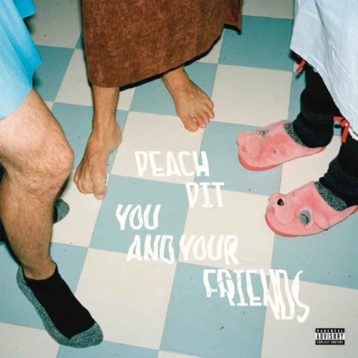 Peach Pit You and Your Friends Vinyl Record