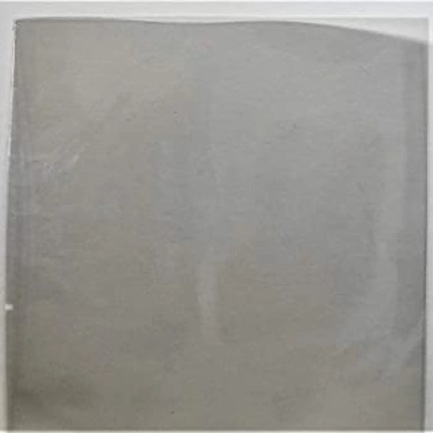 Loose Fit Vinyl Record