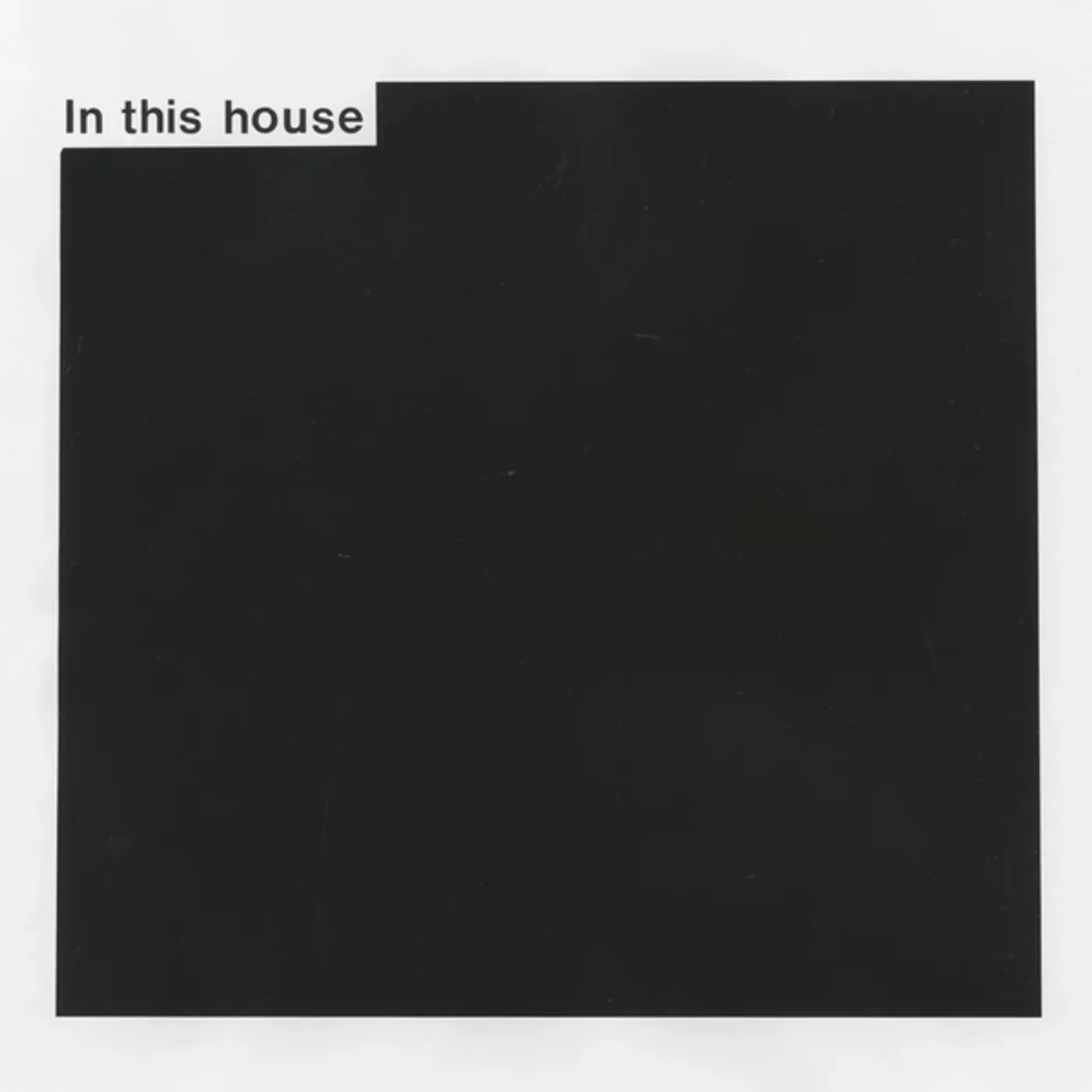 Lewsberg In This House Vinyl Record