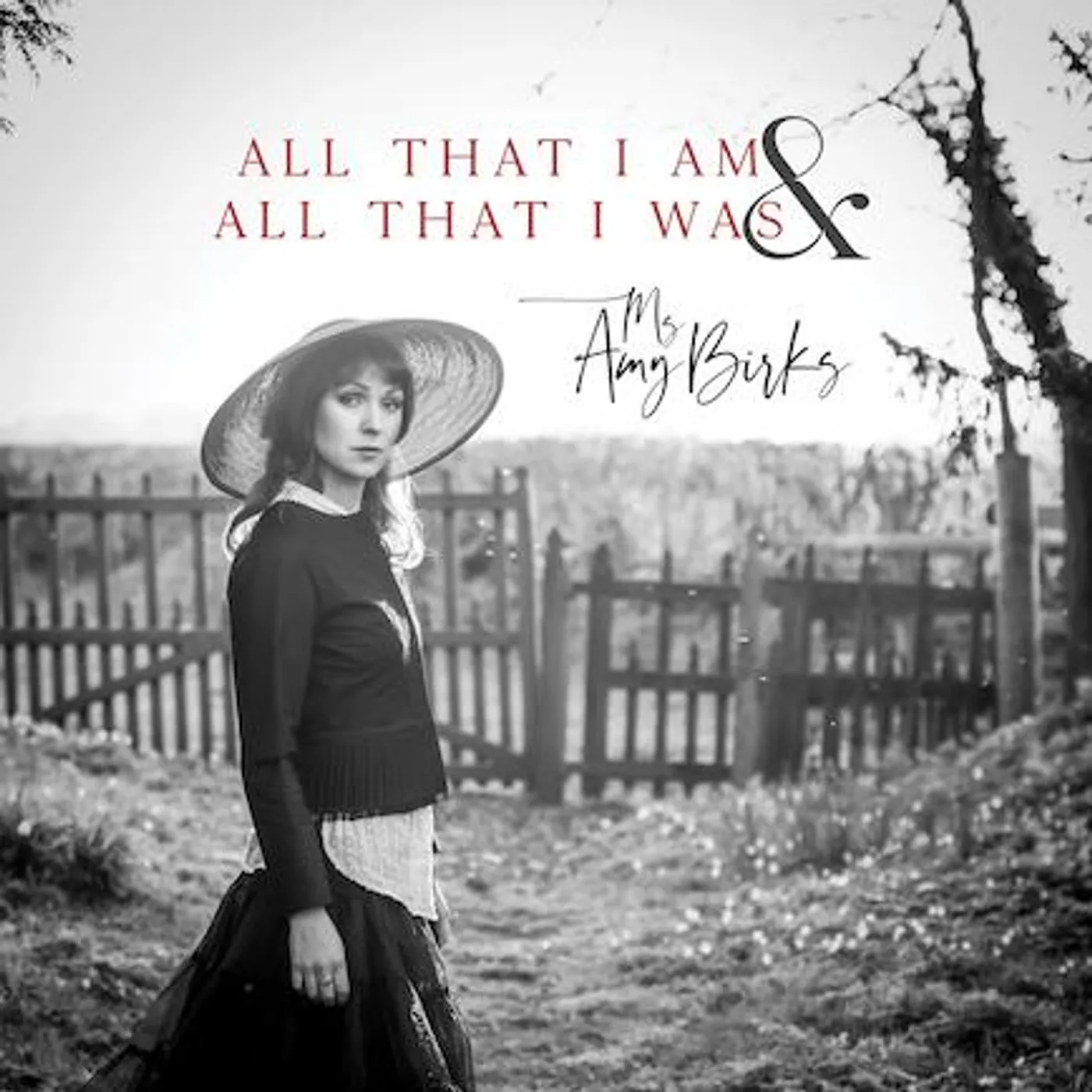 Amy Birks ALL THAT I AM & ALL THAT I WAS Vinyl Record