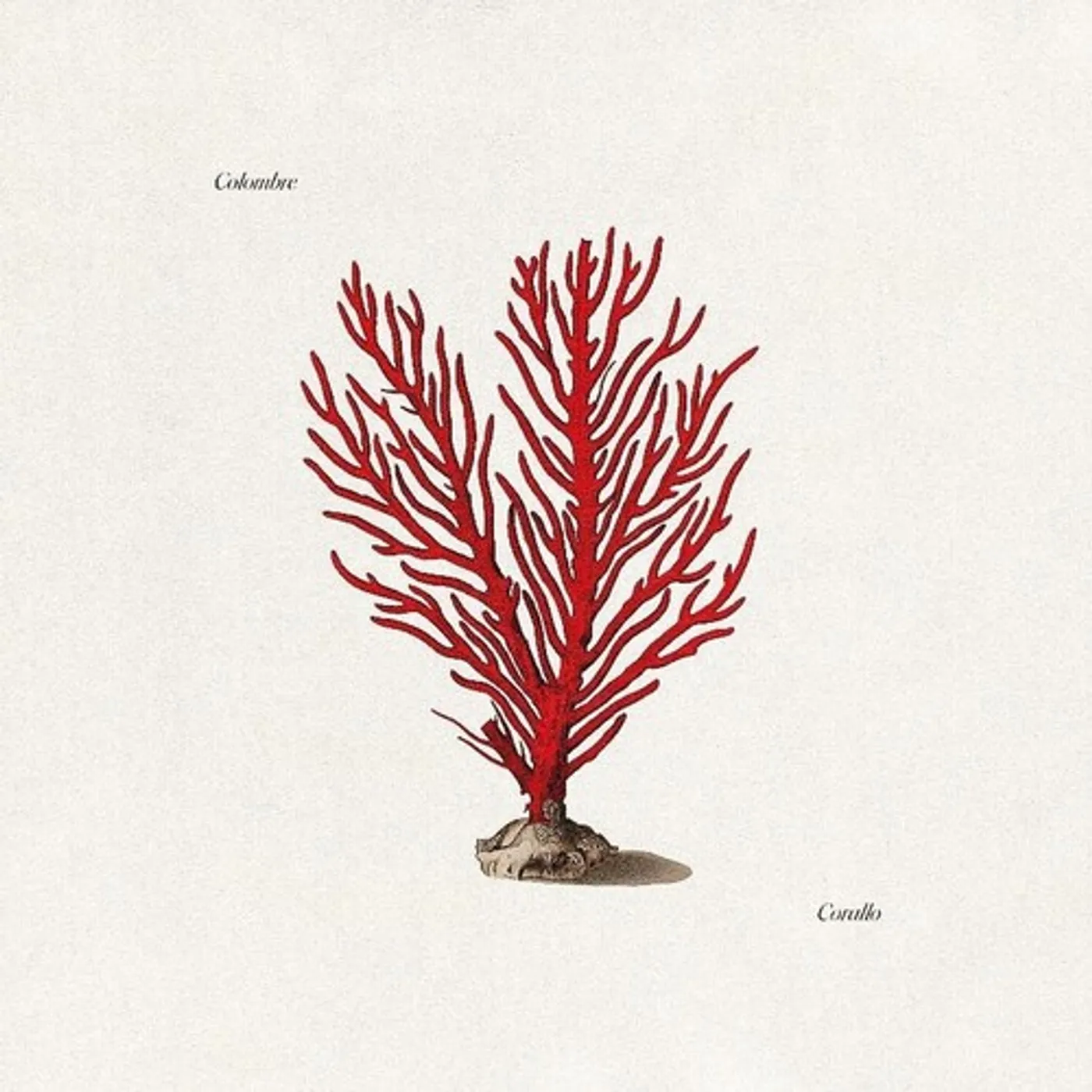 Colombre CORALLO CD