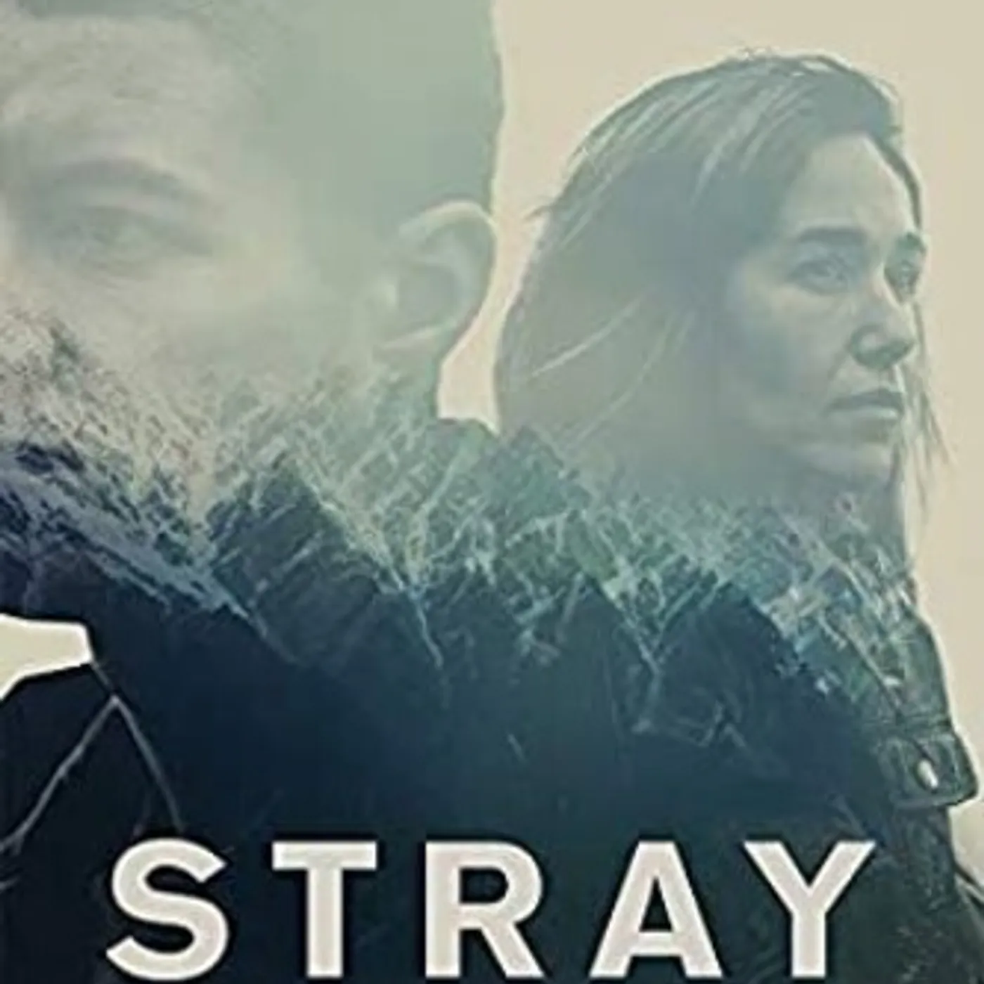 STRAY DVD