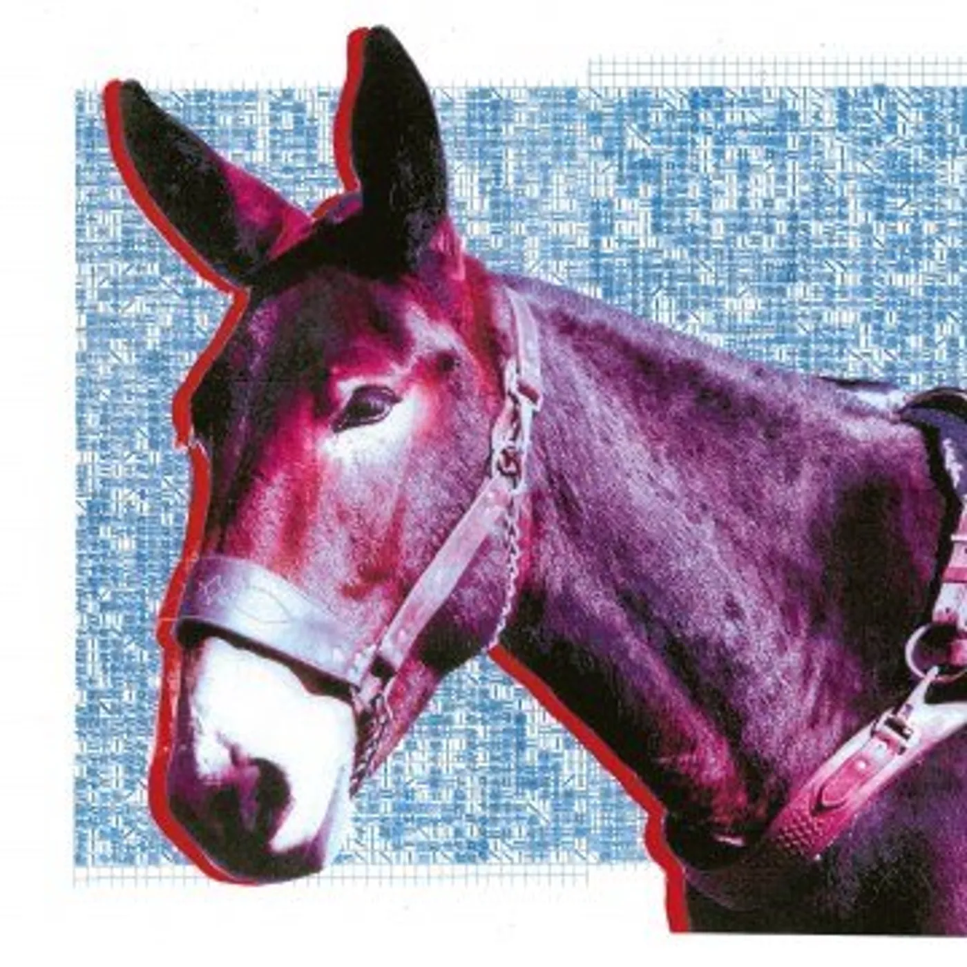 Protomartyr ULTIMATE SUCCESS TODAY CD