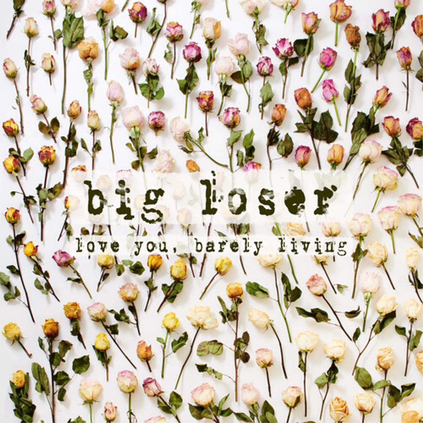big loser LOVE YOU, BARELY LIVING CD