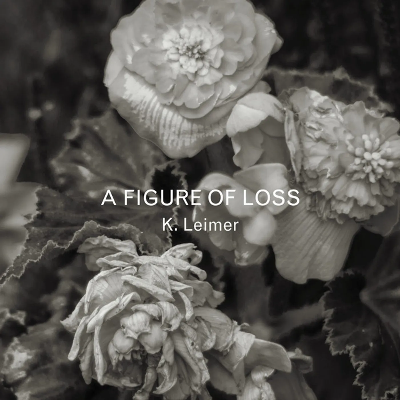 K. Leimer FIGURE OF LOSS CD