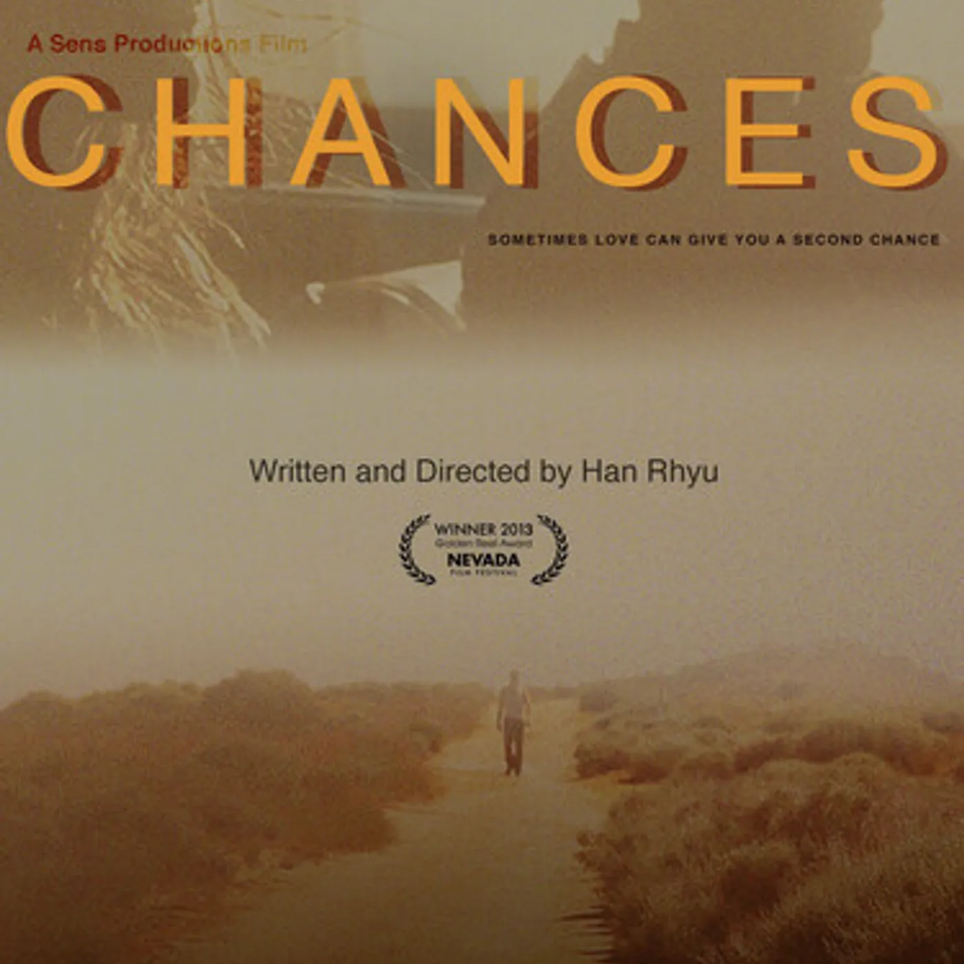 CHANCES DVD