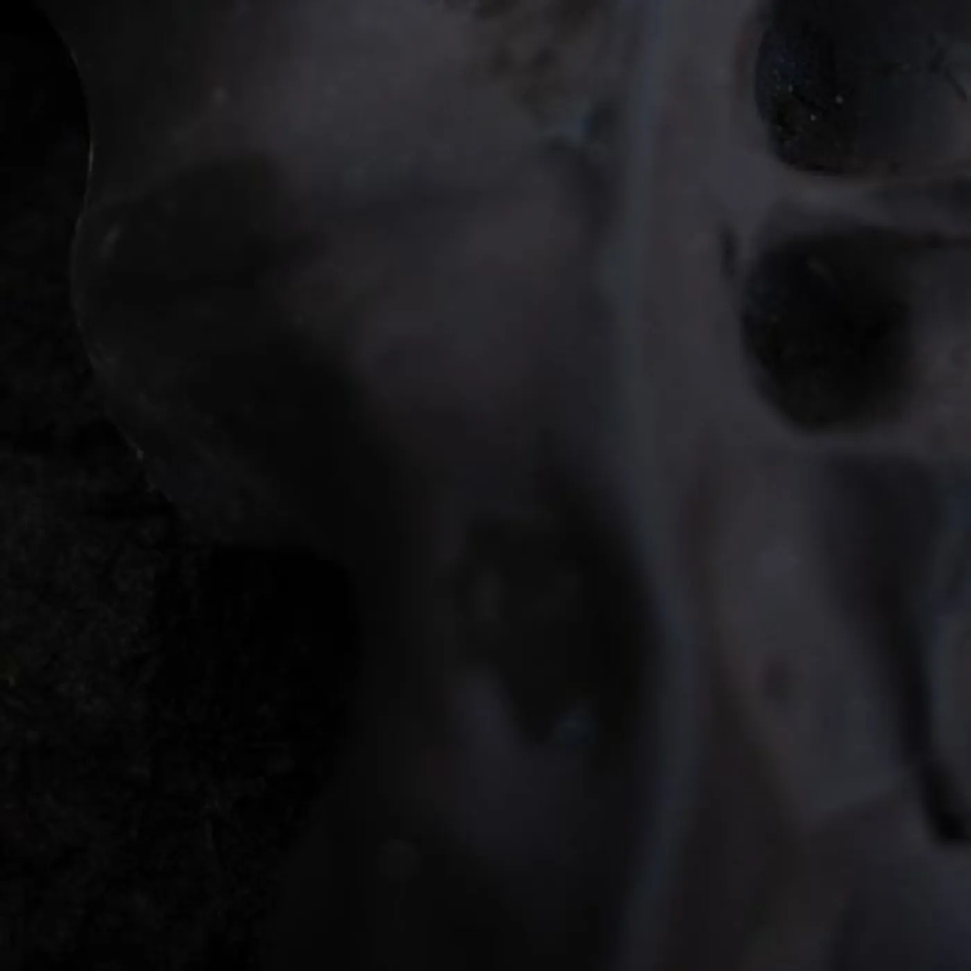 Vito Gatto Evolve Vinyl Record