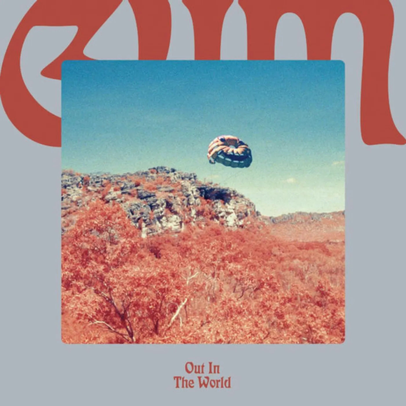GUM Out In The World Vinyl Record