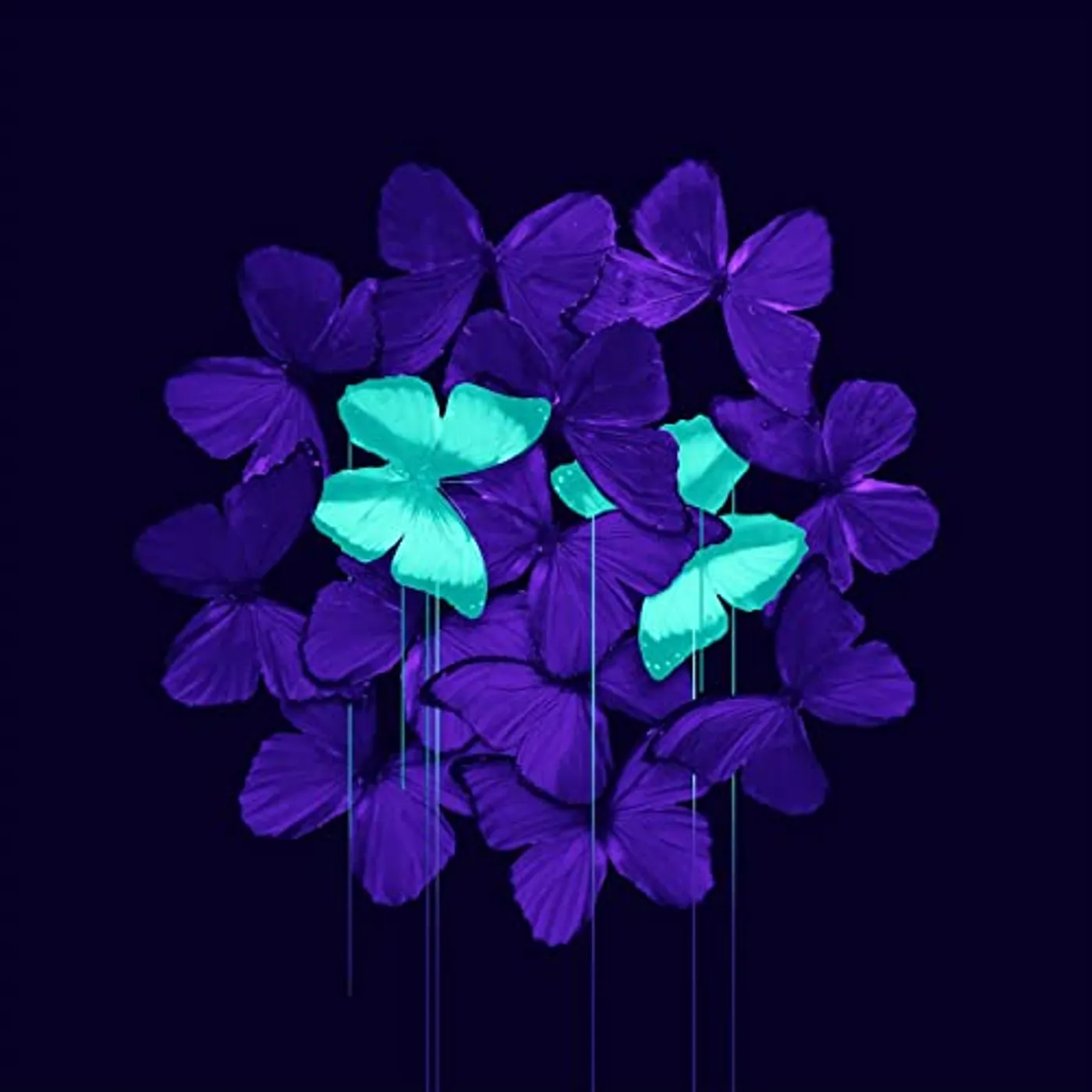 Lightworker FURY BY FAILURE CD