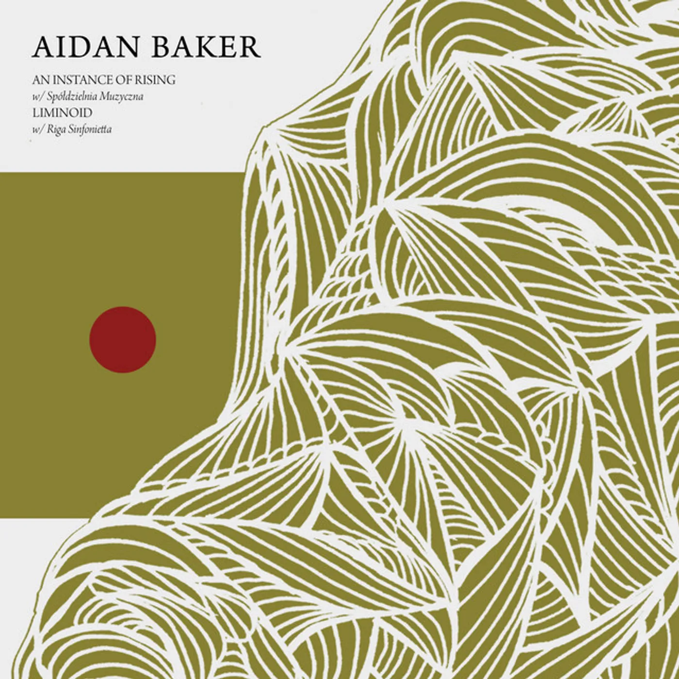 Aidan Baker INSTANCE OF RISING / LIMINOID CD