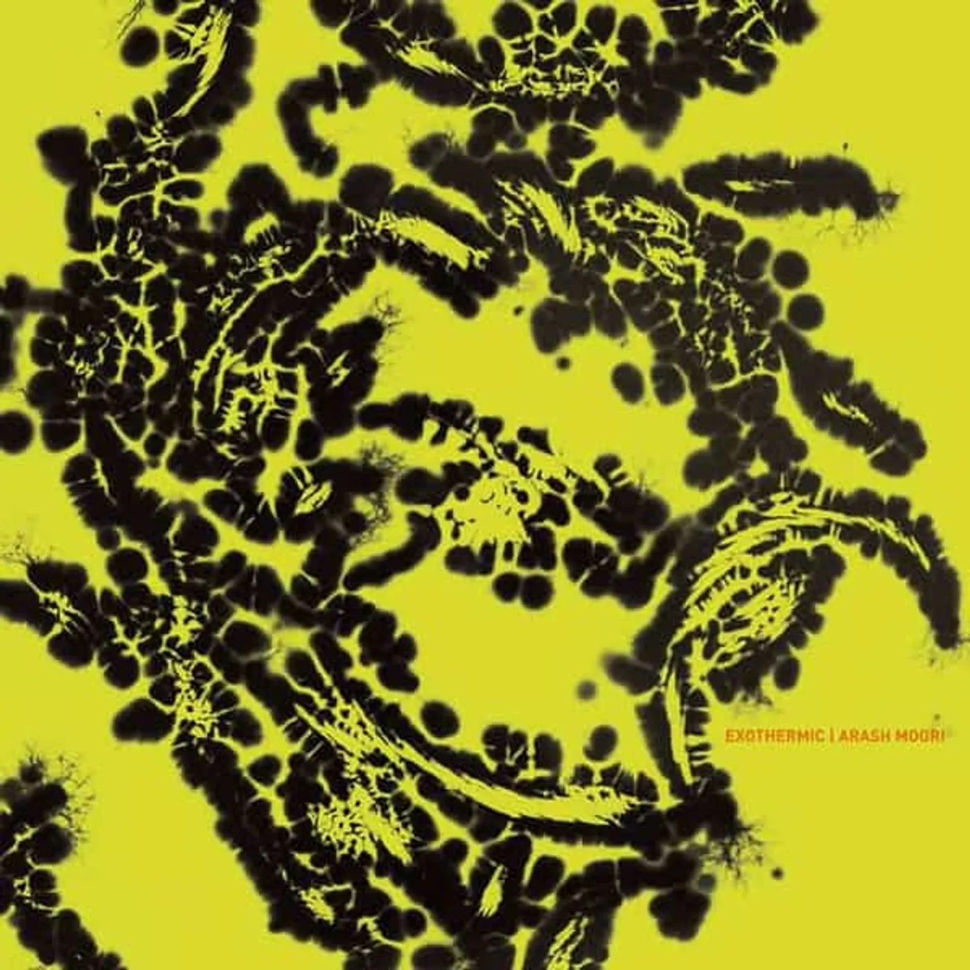Arash Moori EXOTHERMIC Vinyl Record