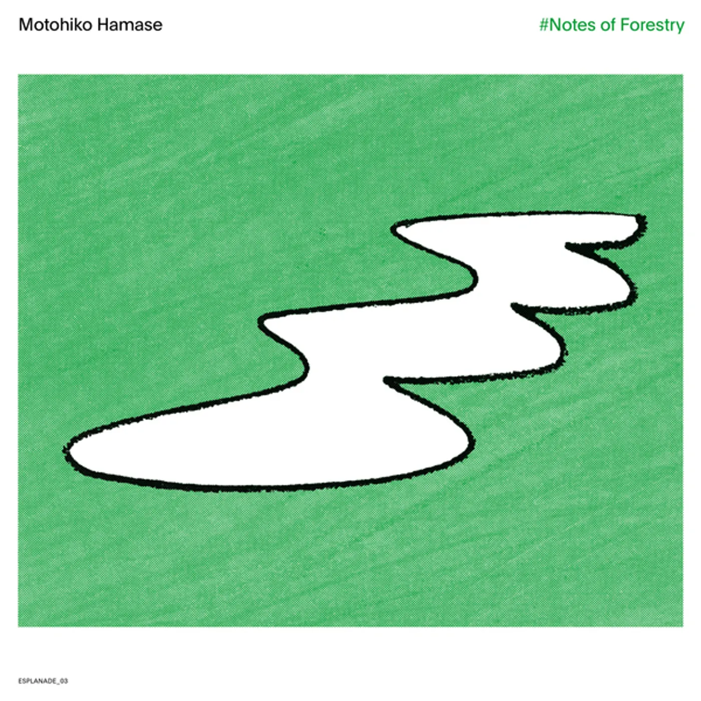 Motohiko Hamase NOTES OF FORESTRY Vinyl Record