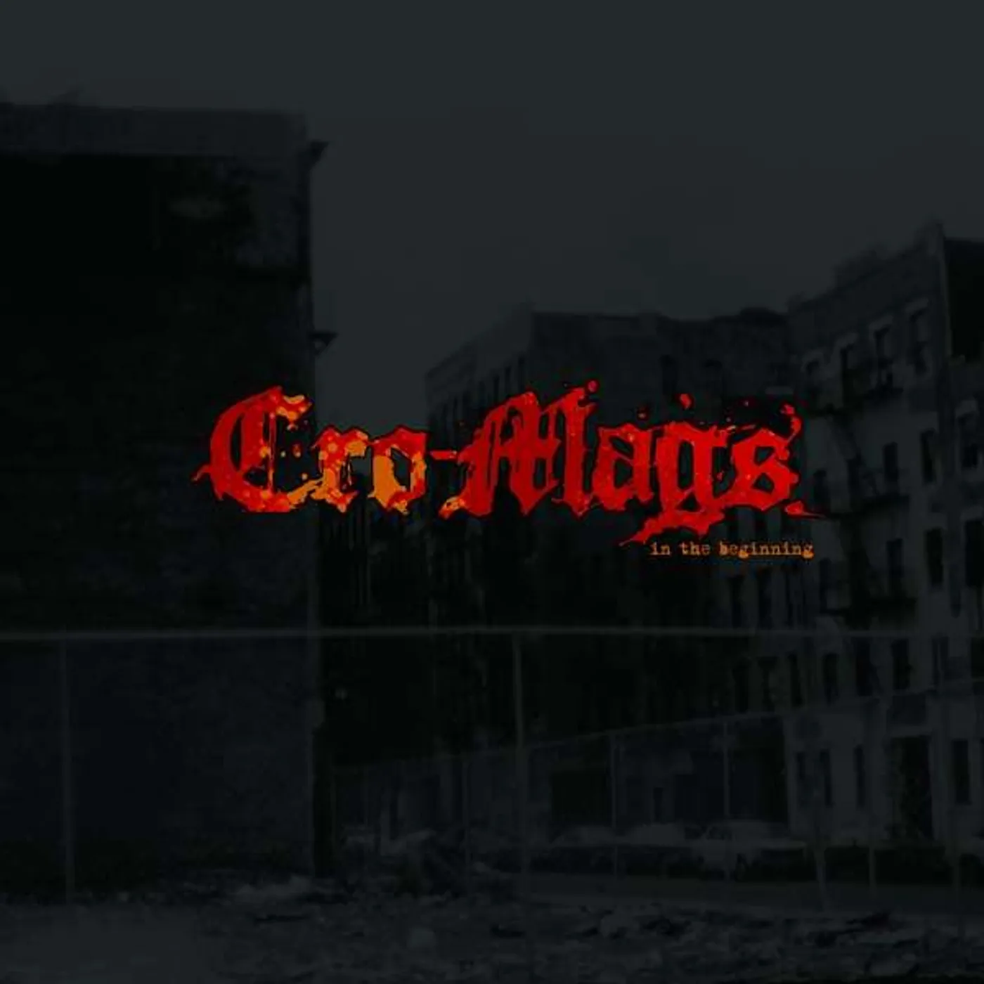 Cro-Mags In the Beginning Vinyl Record