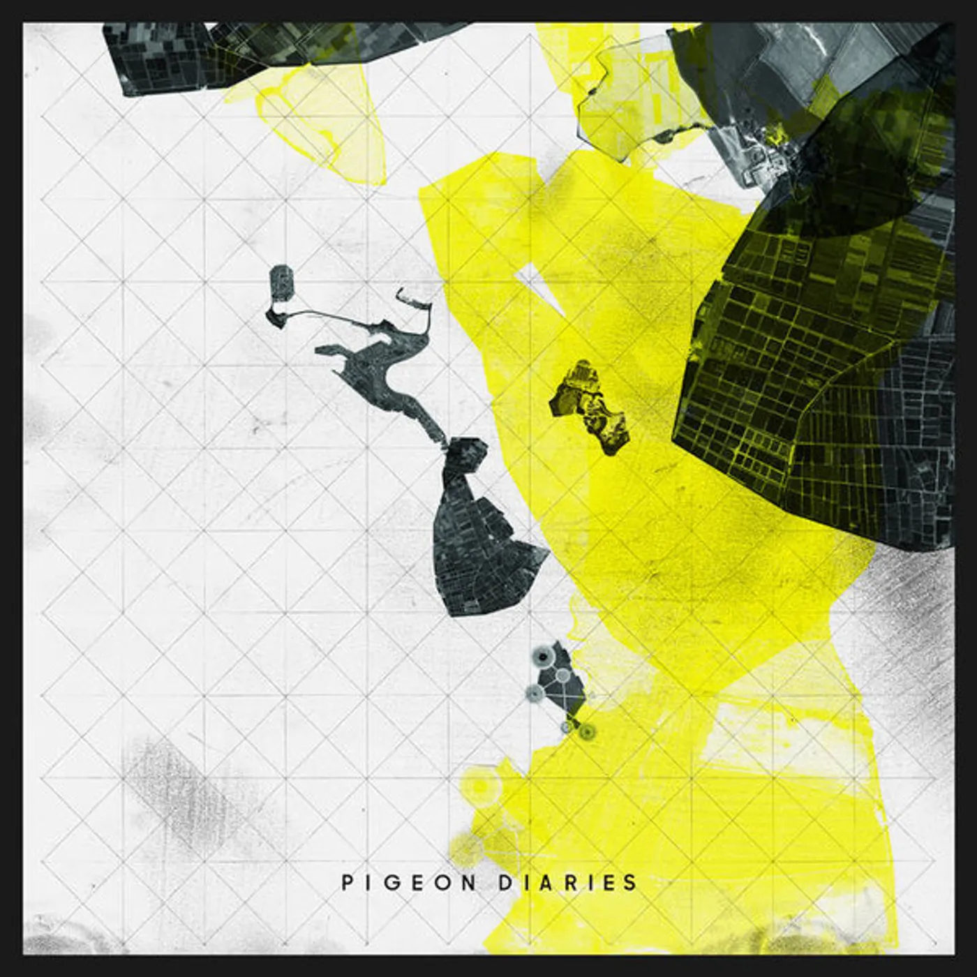 Enablers Pigeon Diaries Vinyl Record