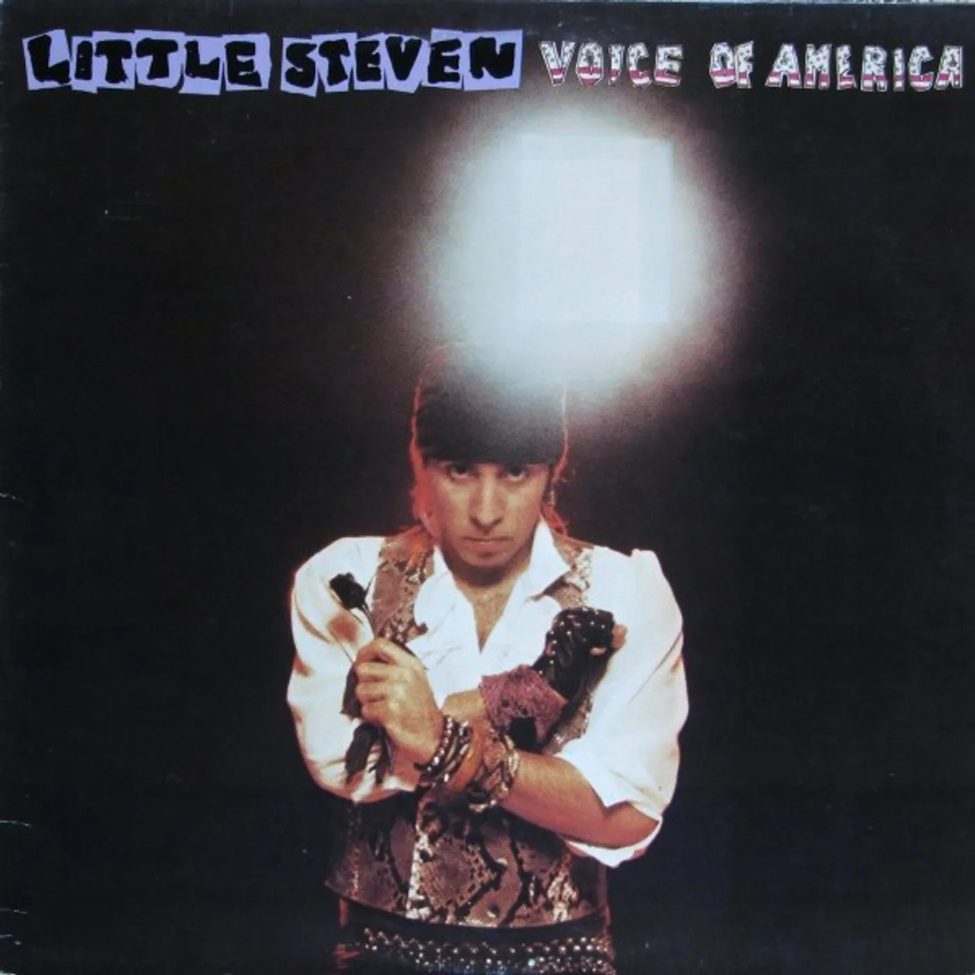 Little Steven VOICE OF AMERICA CD