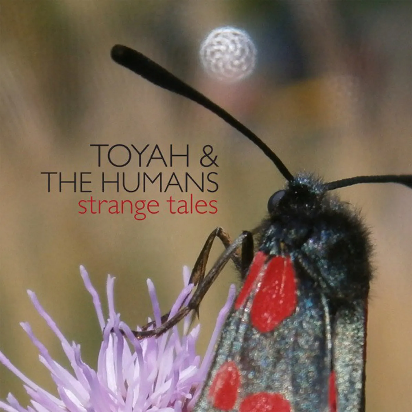 Toyah & The Humans Strange Tales Vinyl Record