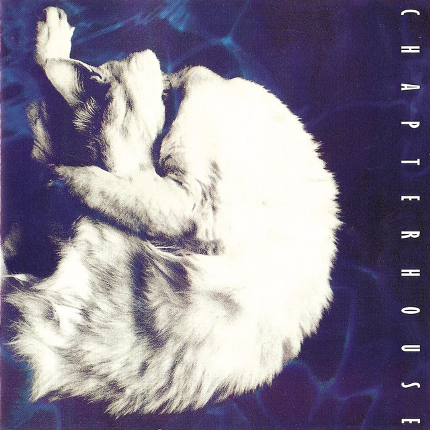Chapterhouse Whirlpool Vinyl Record