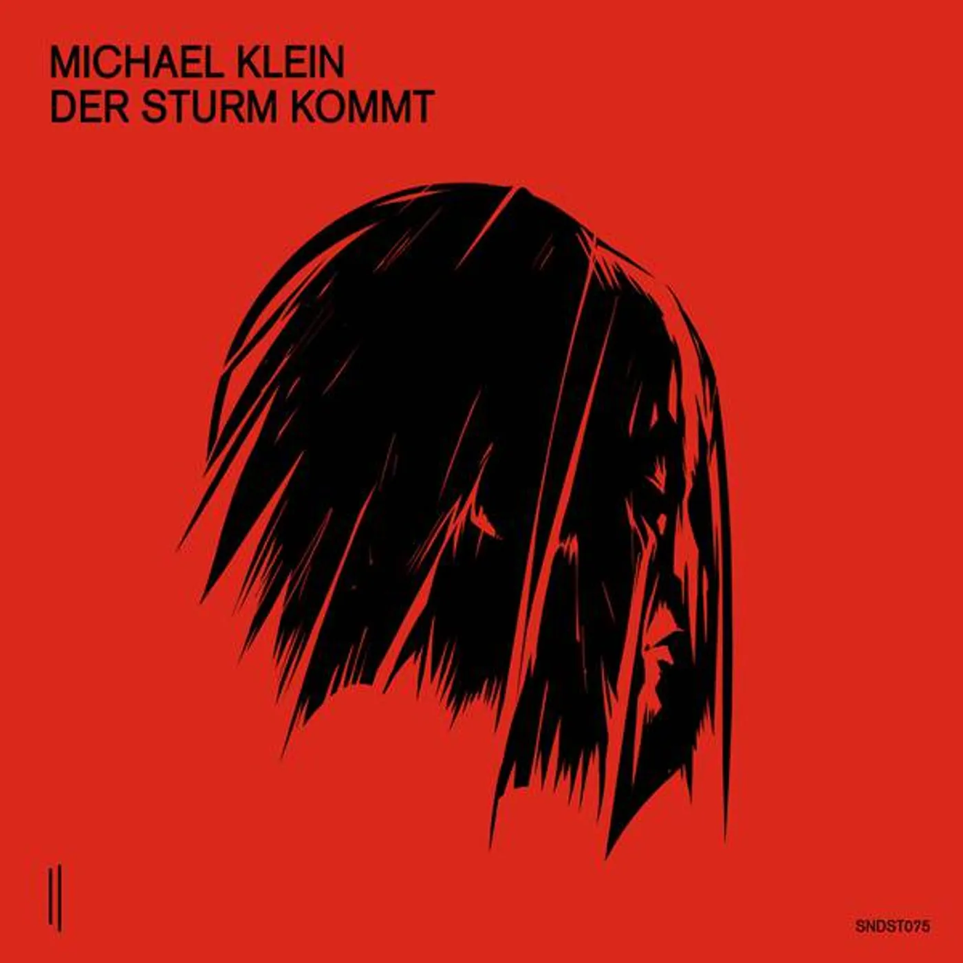 Michael Klein Der Sturm kommt Vinyl Record