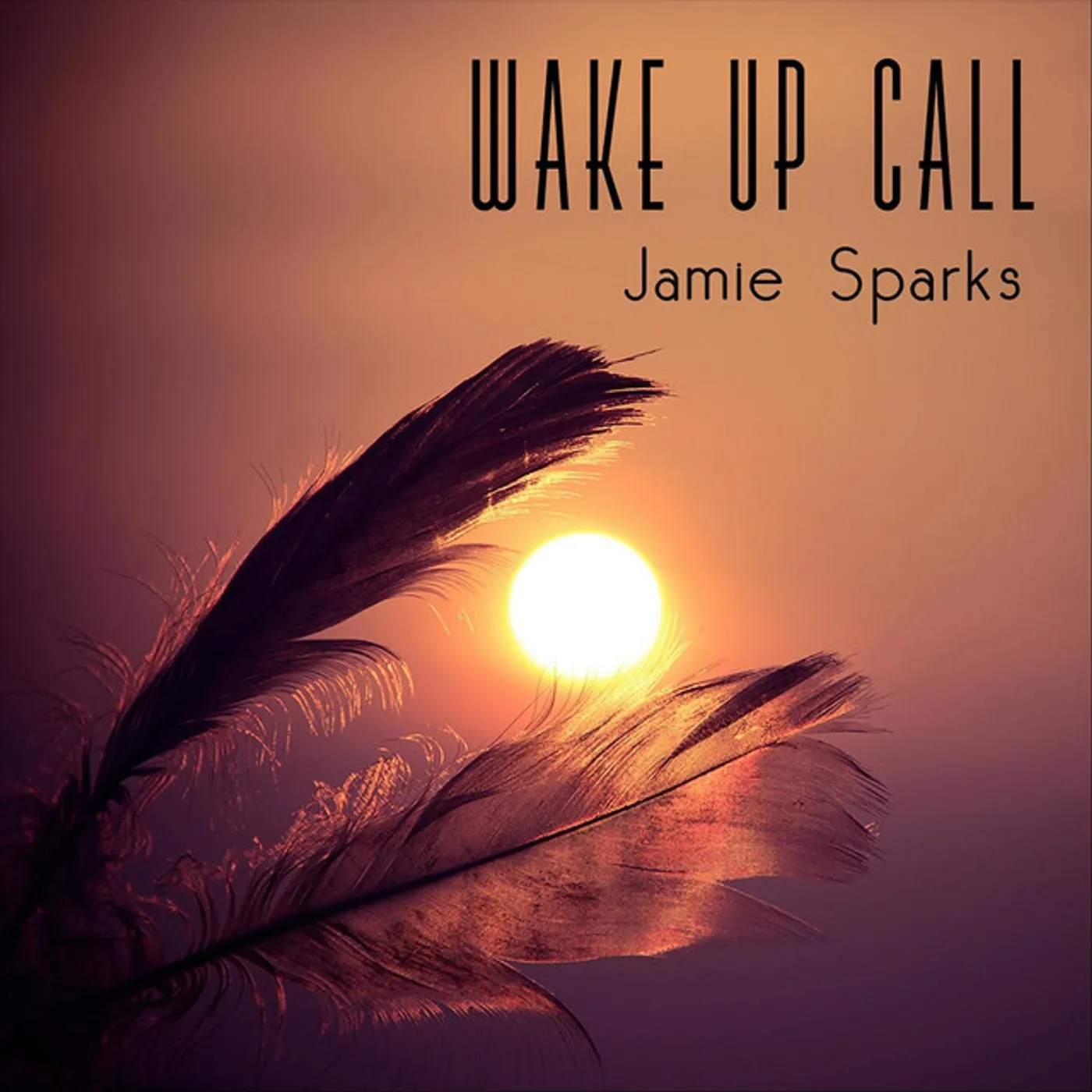 Jamie Sparks WAKE UP CALL CD