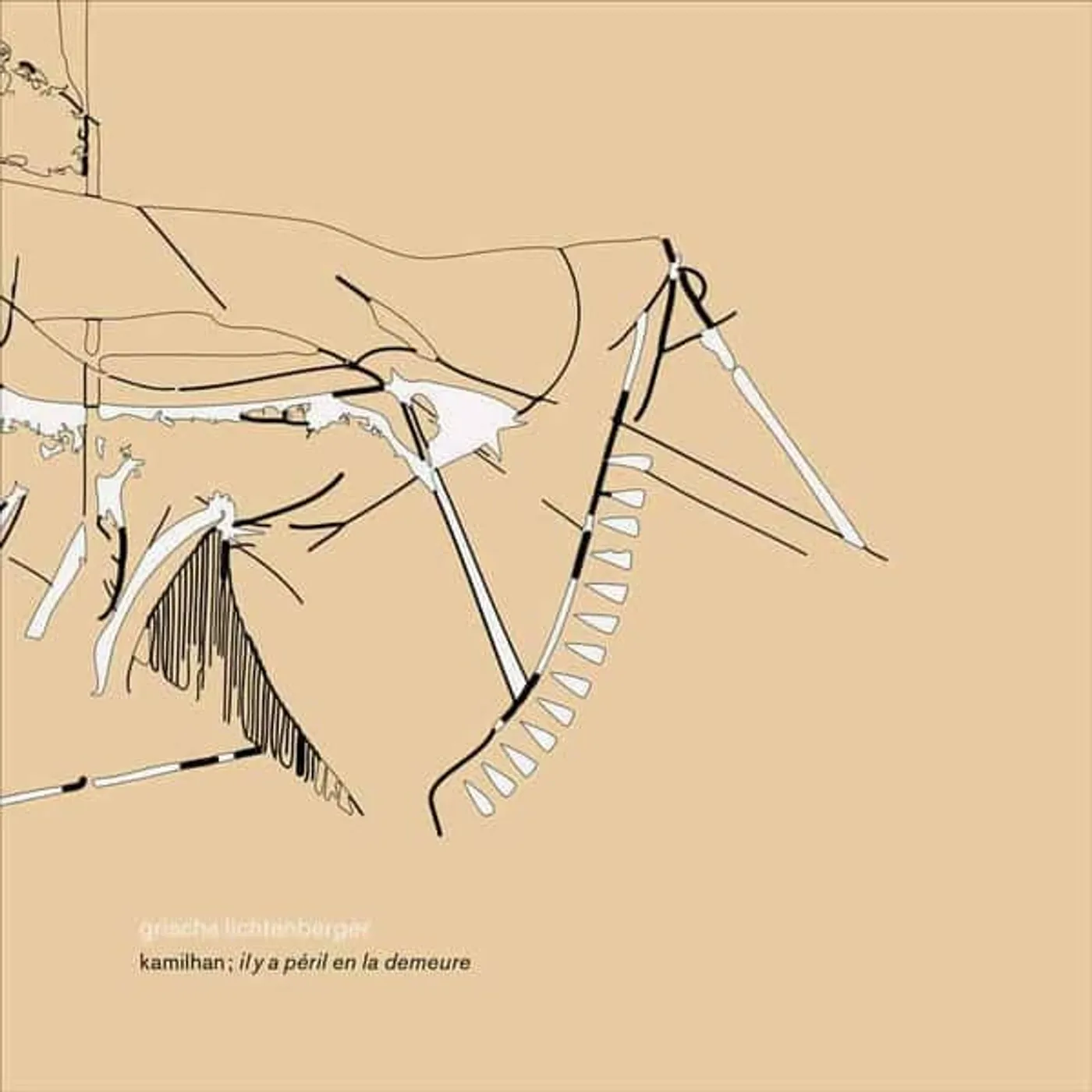 Grischa Lichtenberger KAMILHAN IL Y A PERIL EN LA DEMEURE Vinyl Record
