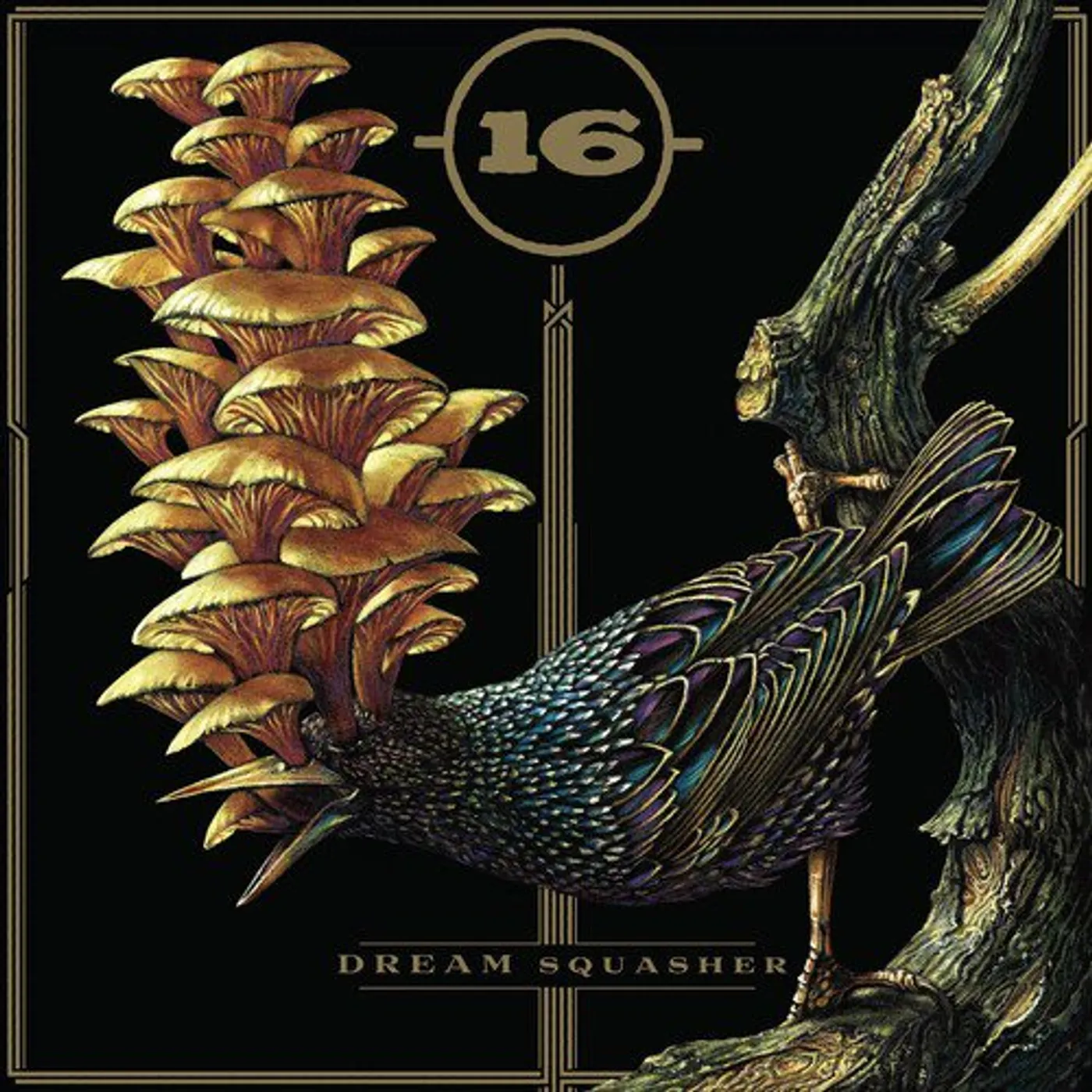 16 Dream Squasher Vinyl Record
