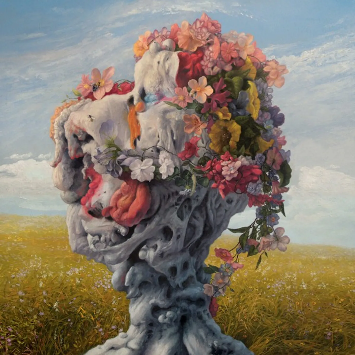Wilderun VEIL OF IMAGINATION Vinyl Record