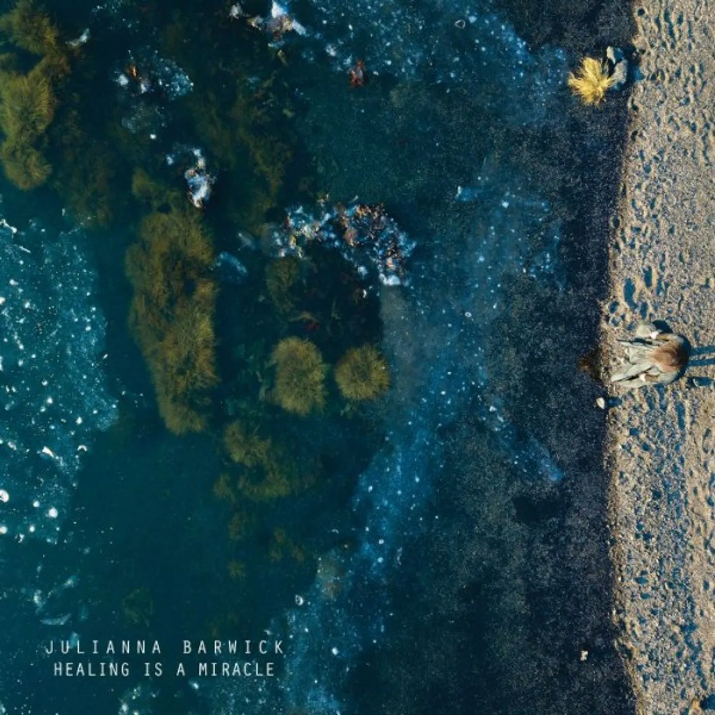 Julianna Barwick Healing Is A Miracle Vinyl Record