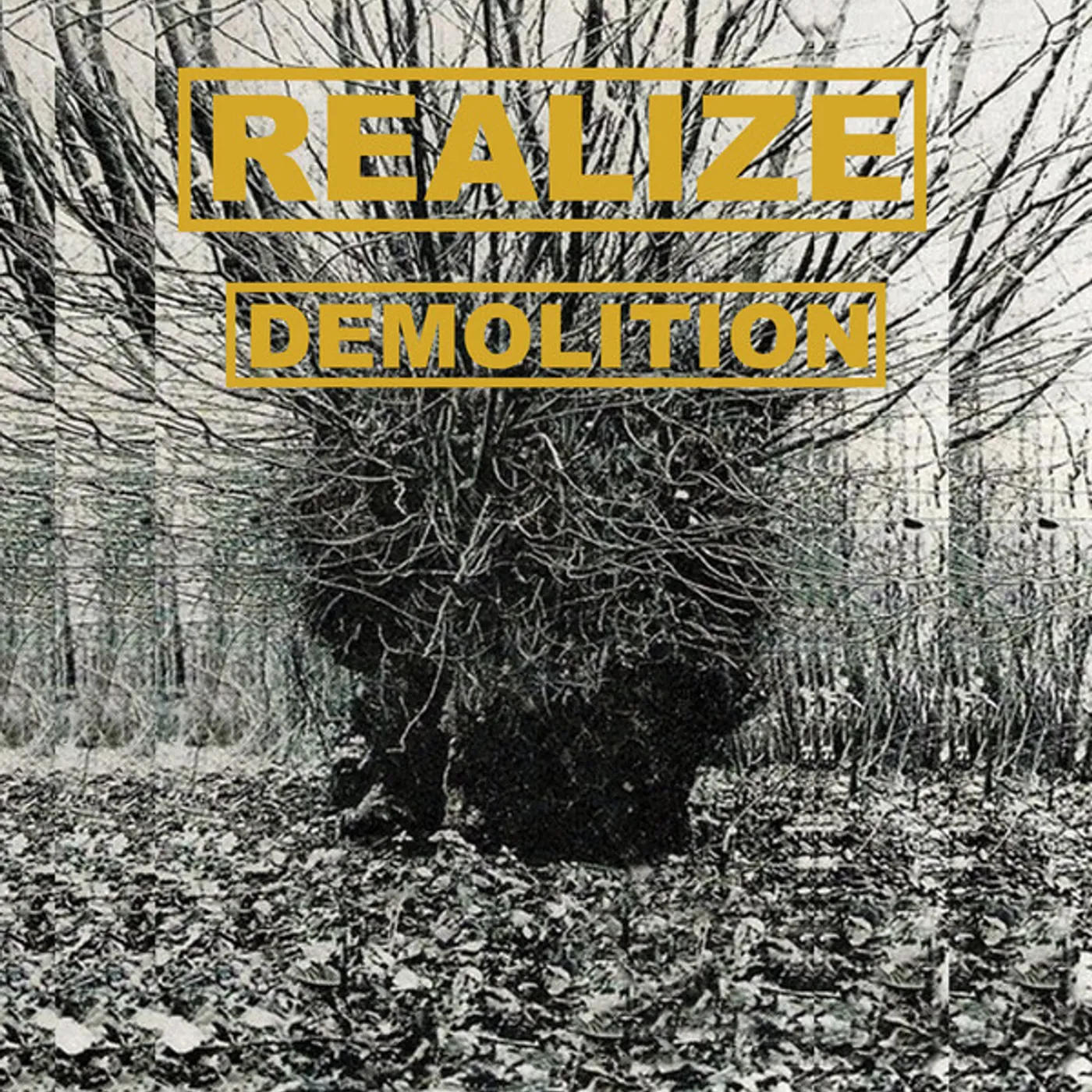 Realize Demolition Vinyl Record