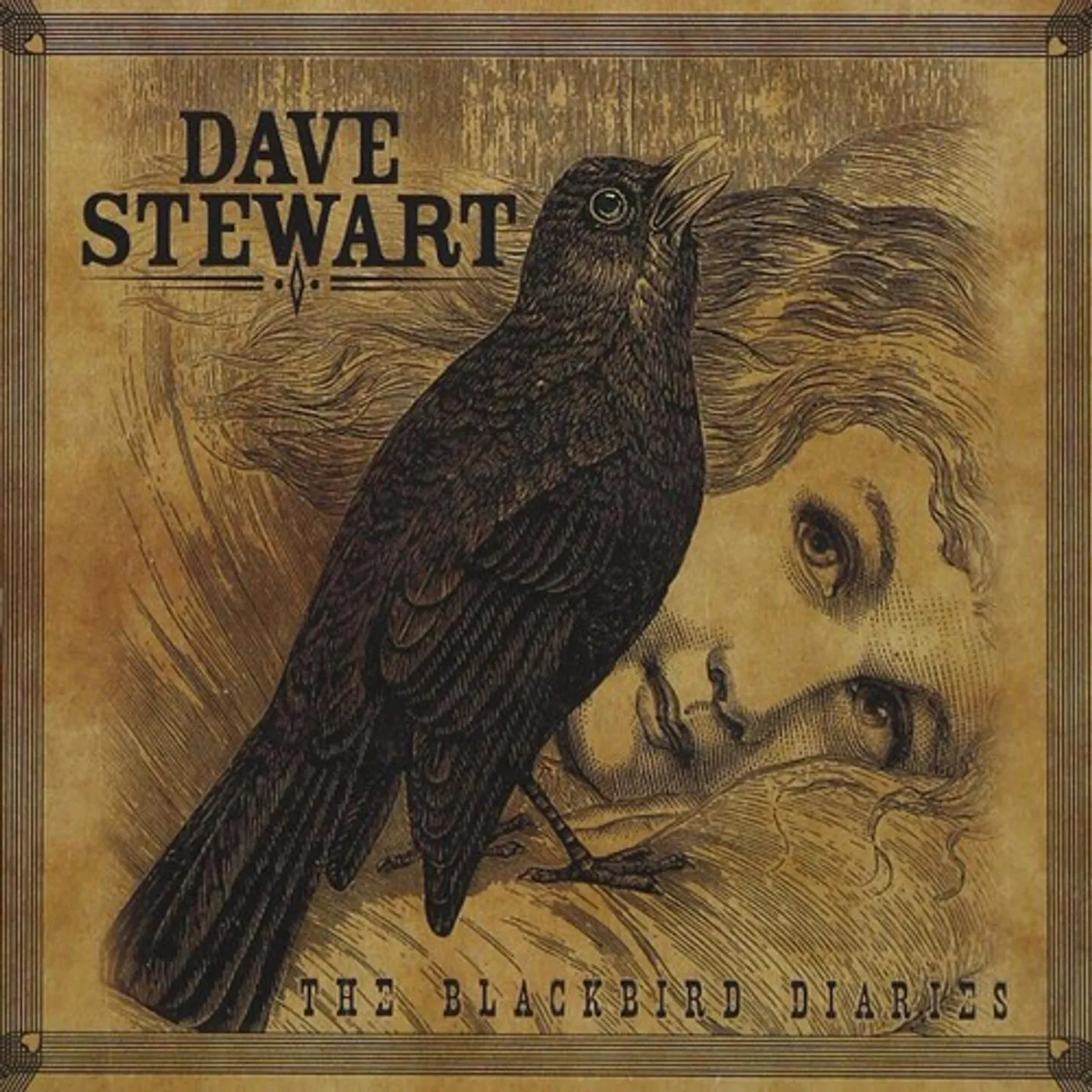 Dave Stewart BLACKBIRD DIARIES CD