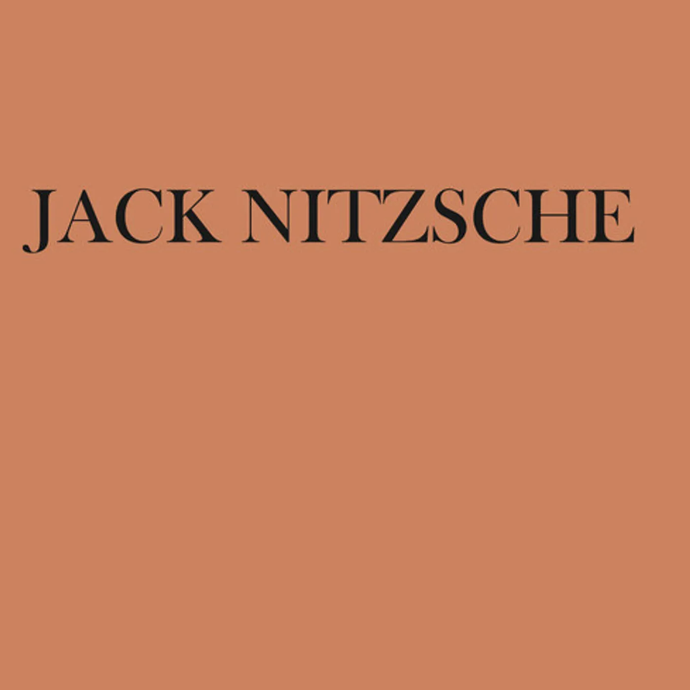 JACK NITZSCHE Vinyl Record