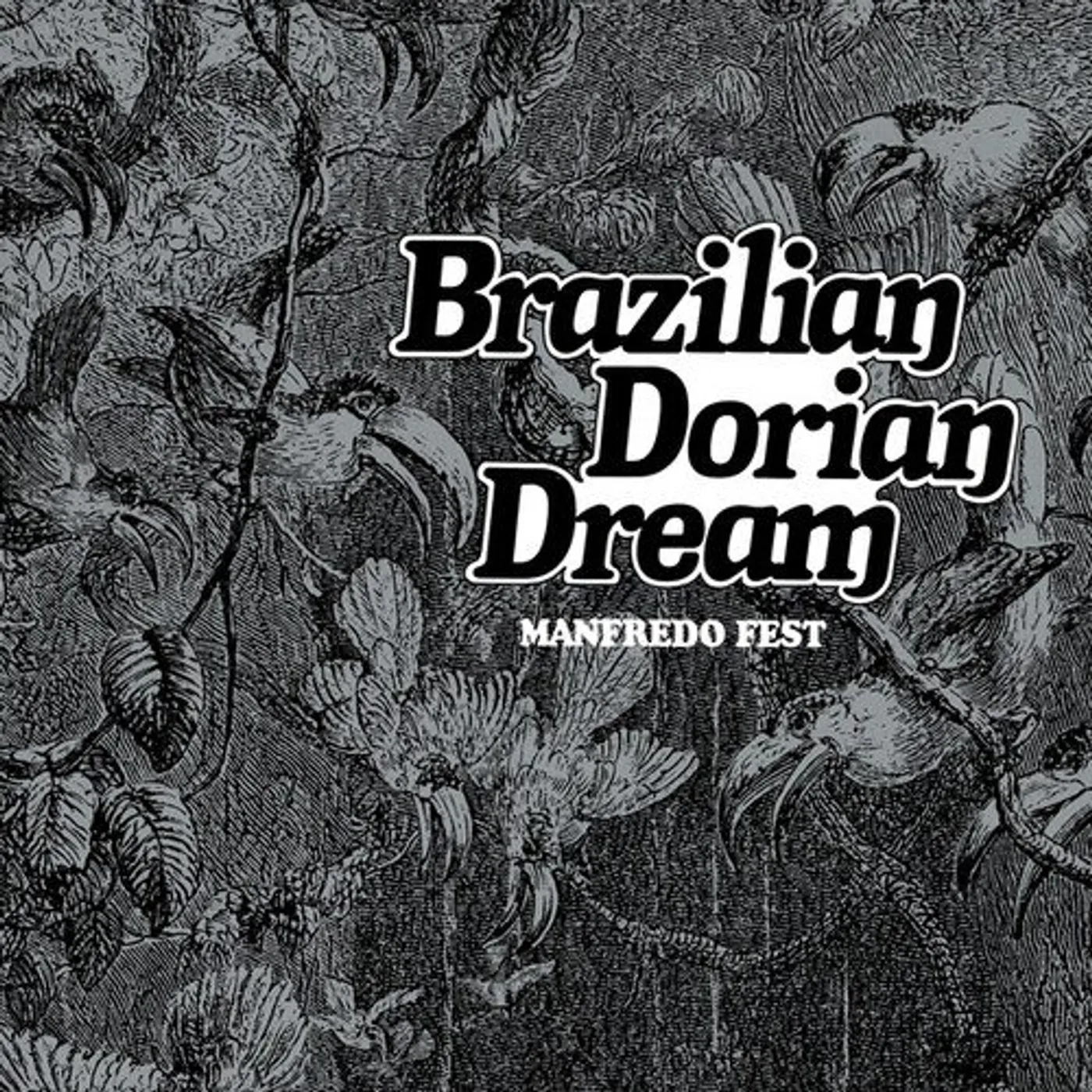 Manfredo Fest Brazilian Dorian Dream Vinyl Record