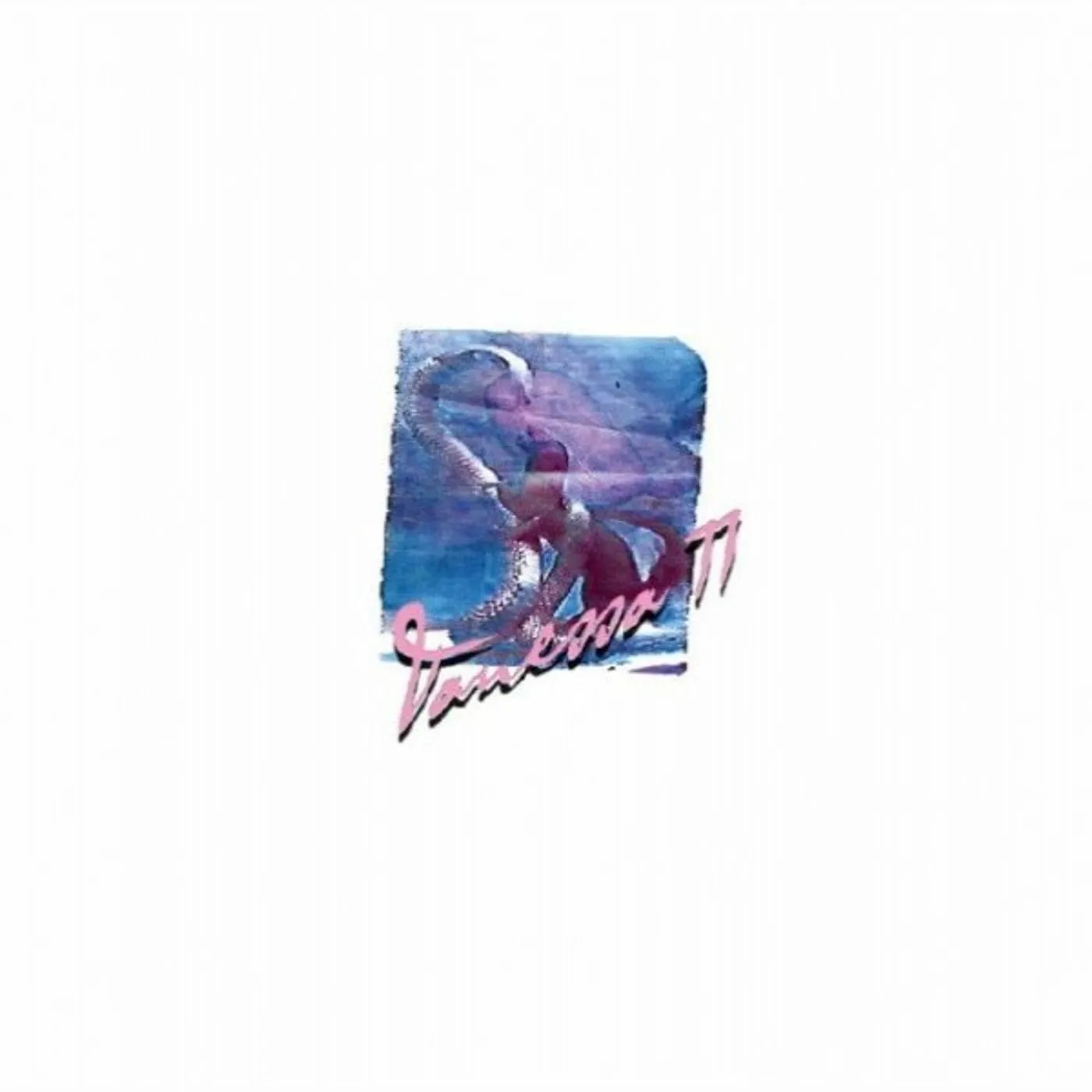 Vanessa Worm Vanessa 77 Vinyl Record